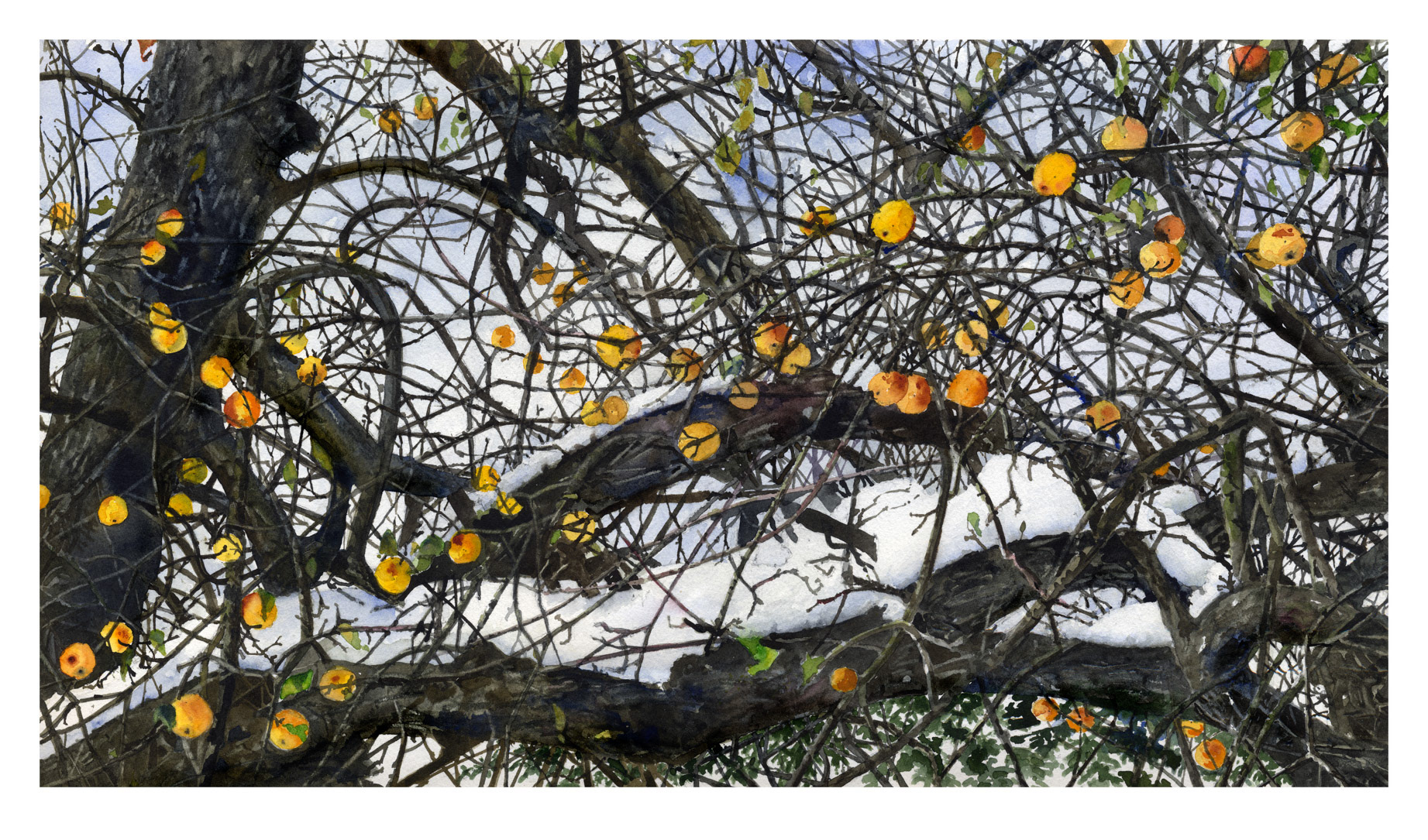 'Through Each Season'