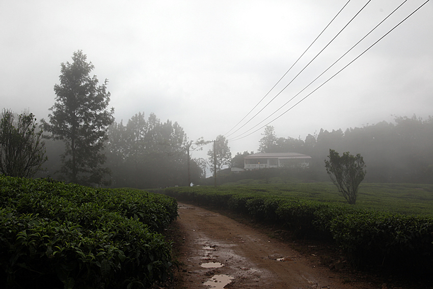 Munnar Hill Station