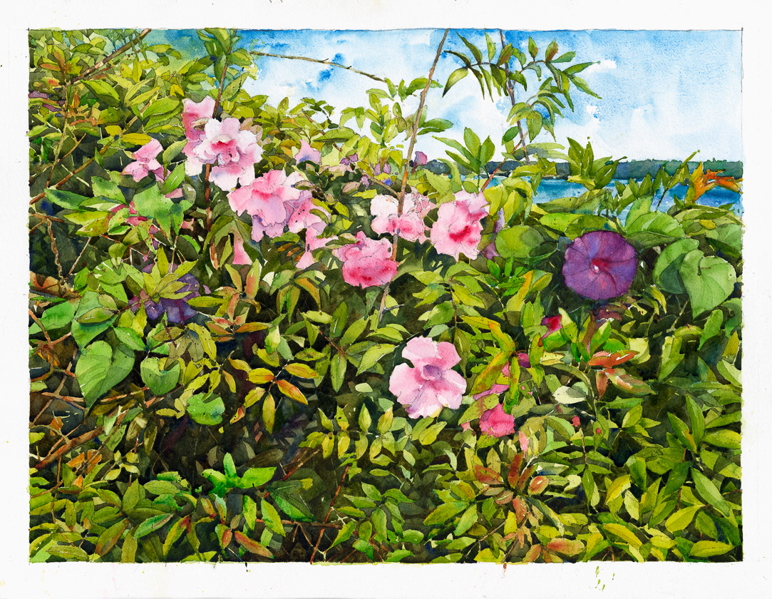 'Bermuda Landscape' 2017