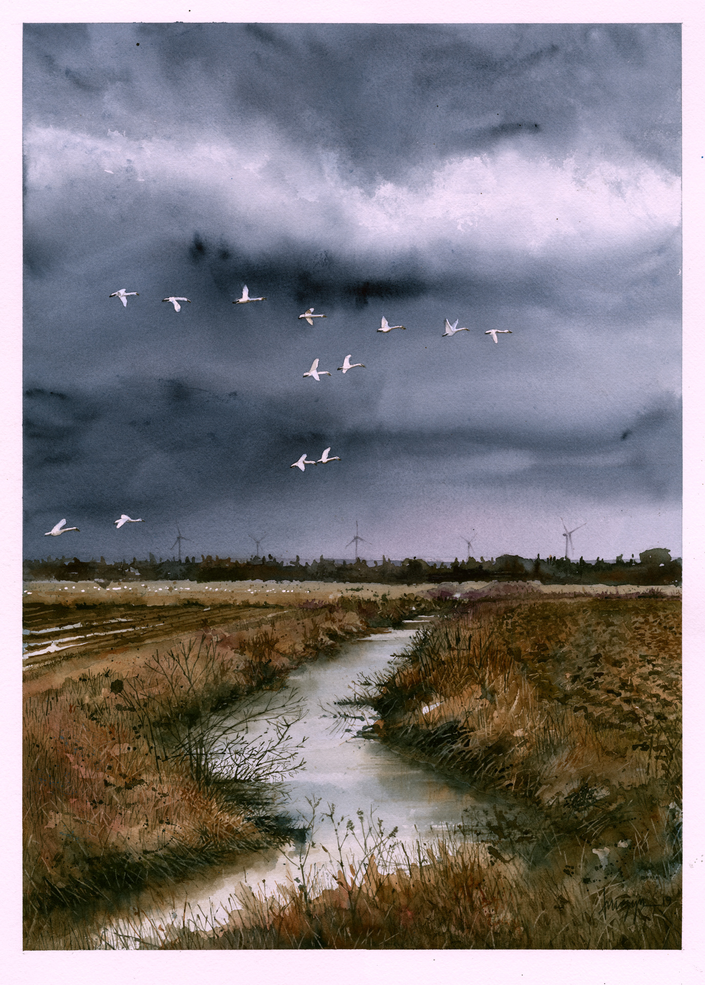 Morning Flight, Thedford Bog 2019