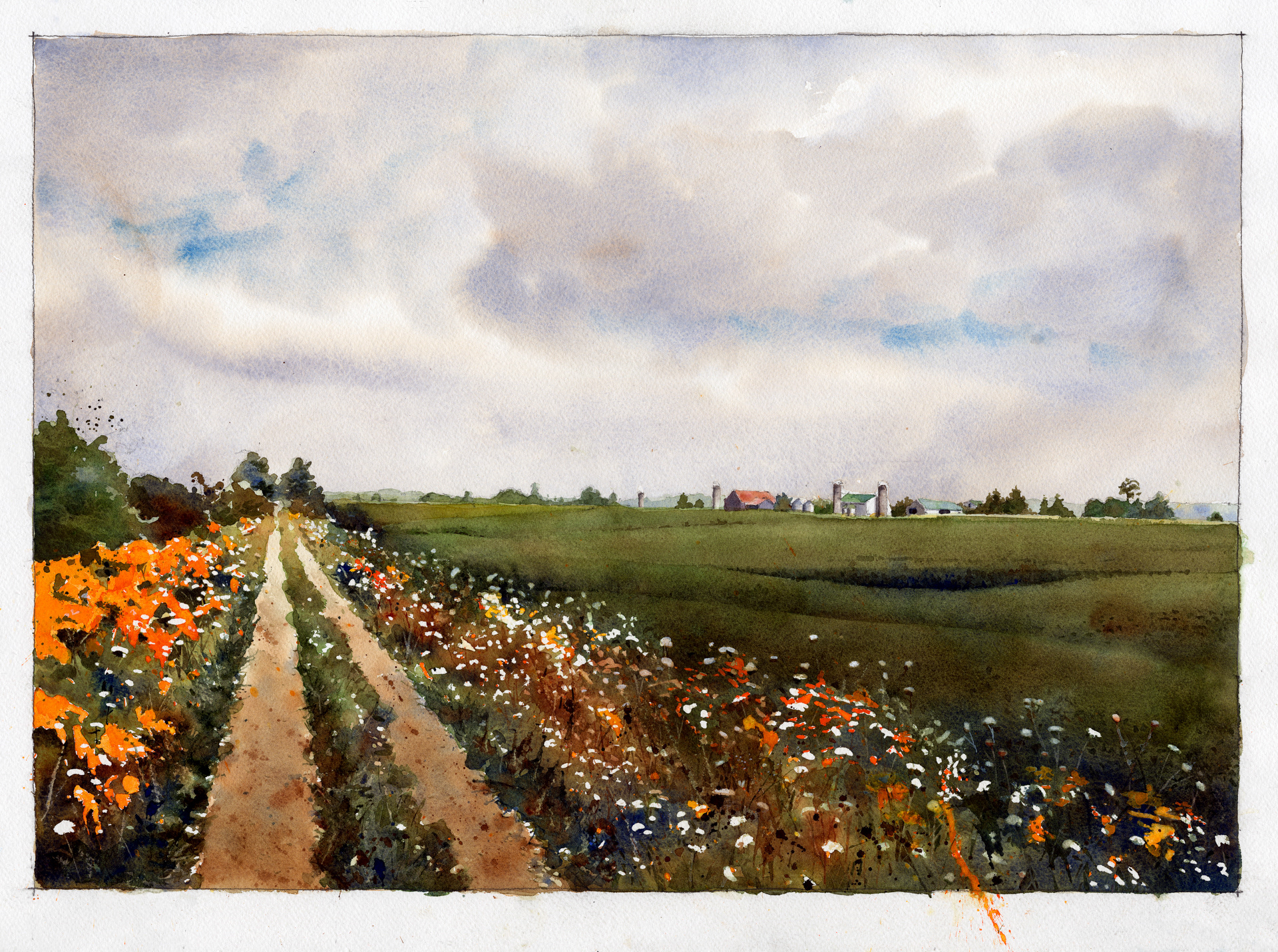 Landscape lll, Huron County 2019