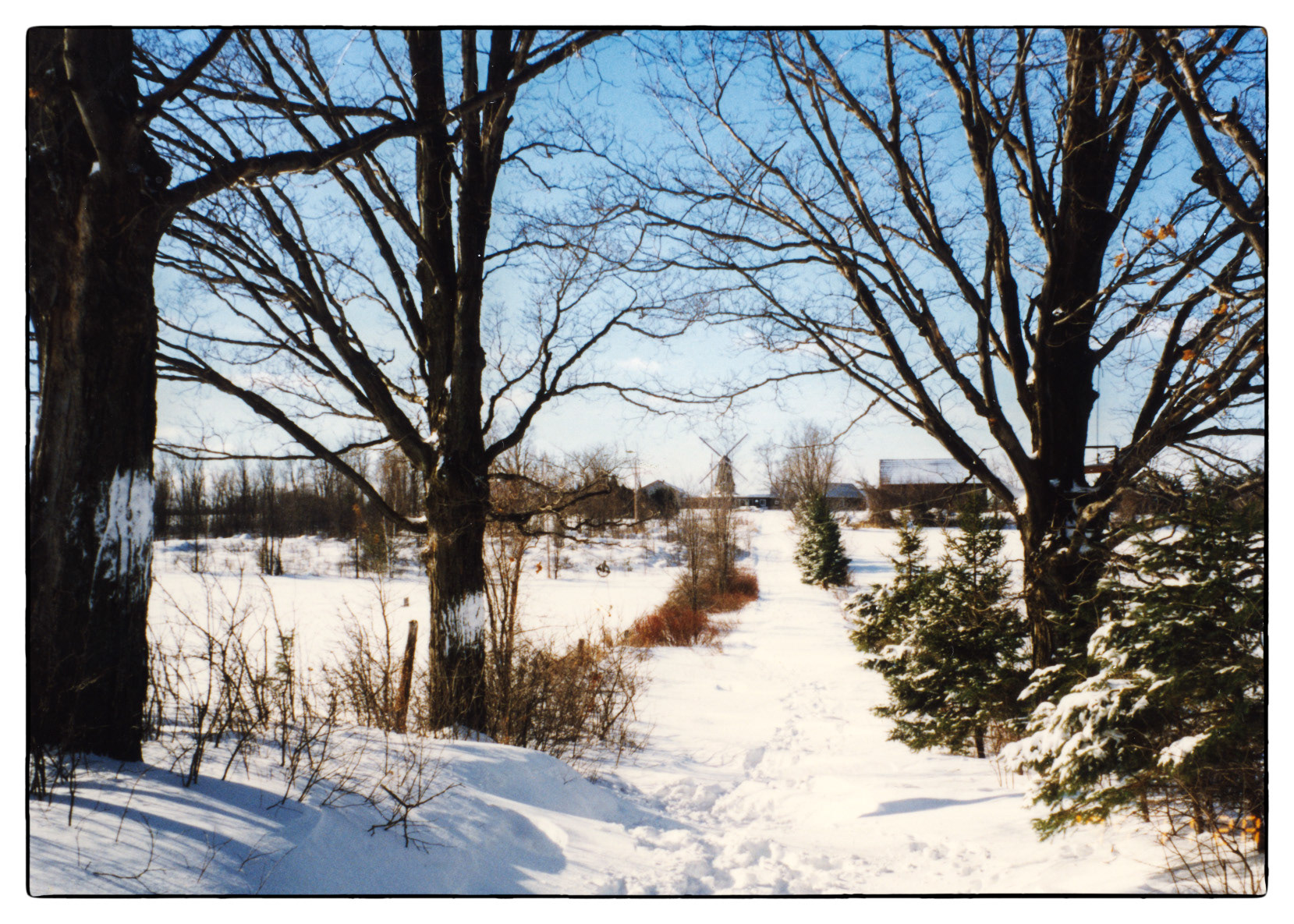 Our driveway