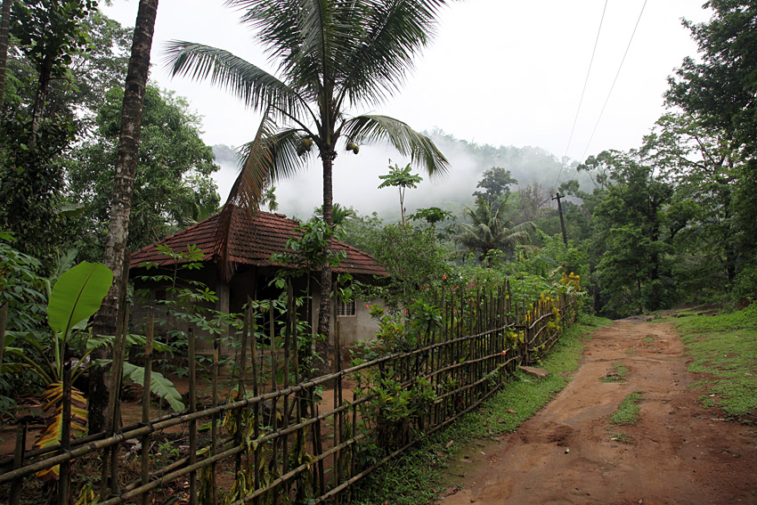 Thattekady, Western Ghats