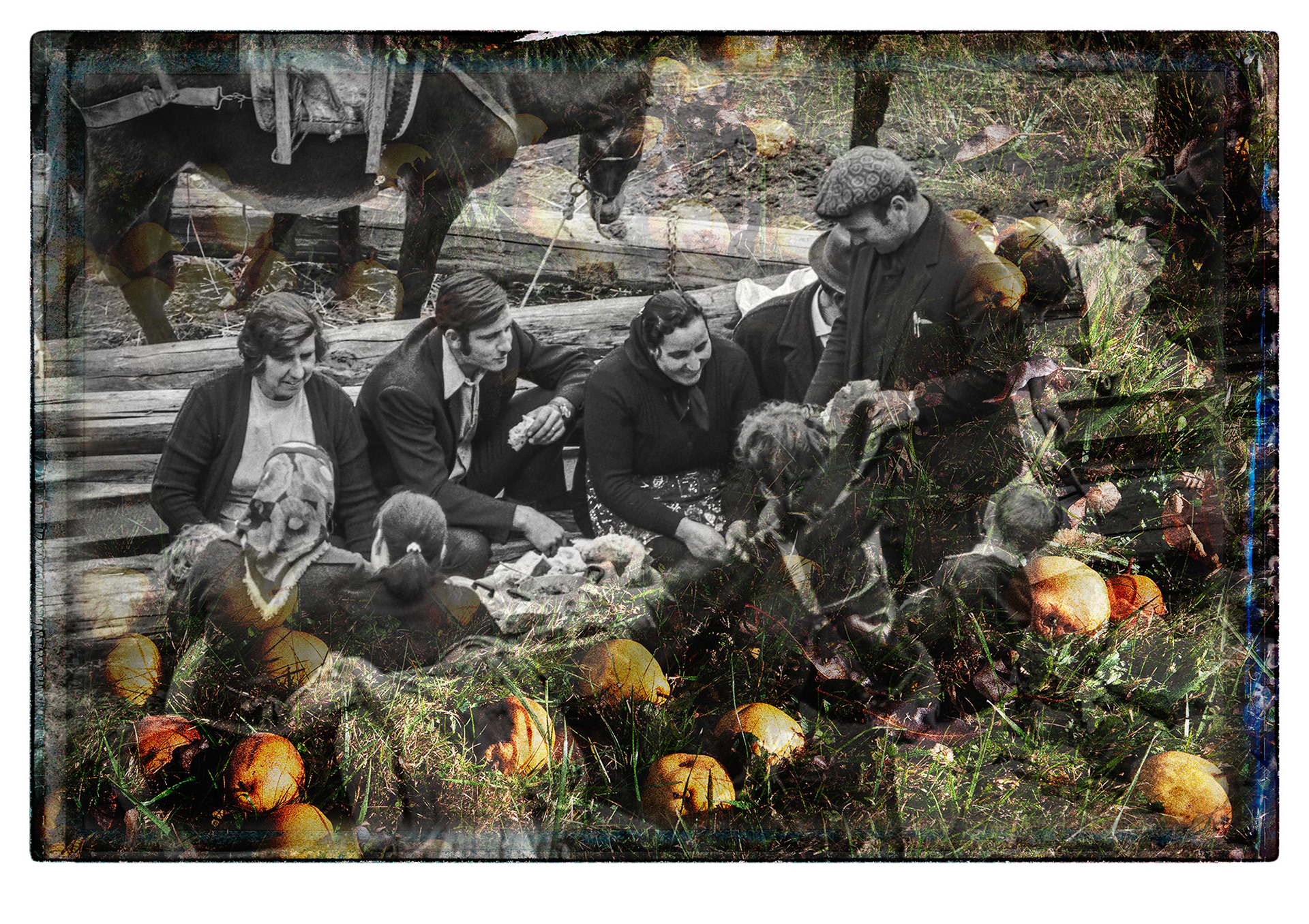 'Family' San Fele, Italy 1972