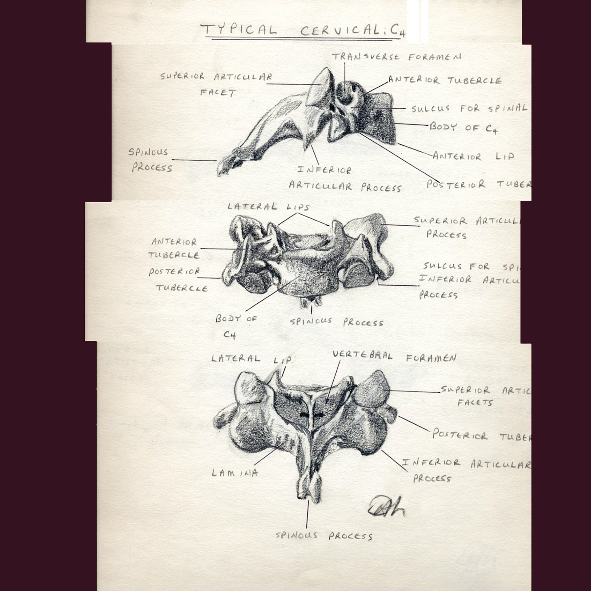 Sketches enhance and aligned digitally