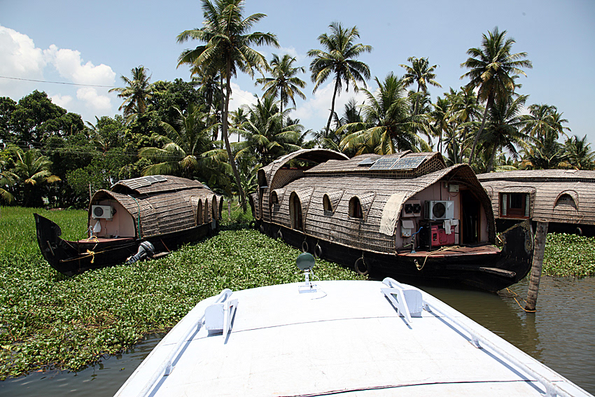 Alleppey Backwaters, Kochi