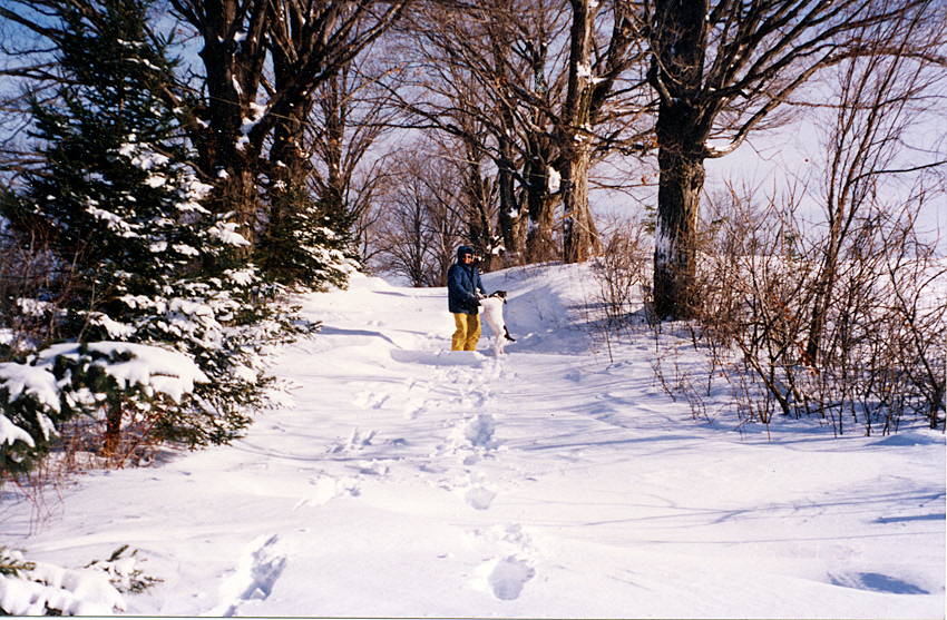 Our driveway