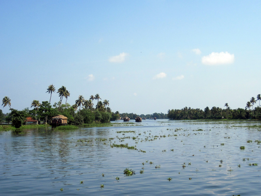 Alleppey Backwaters, Kochi