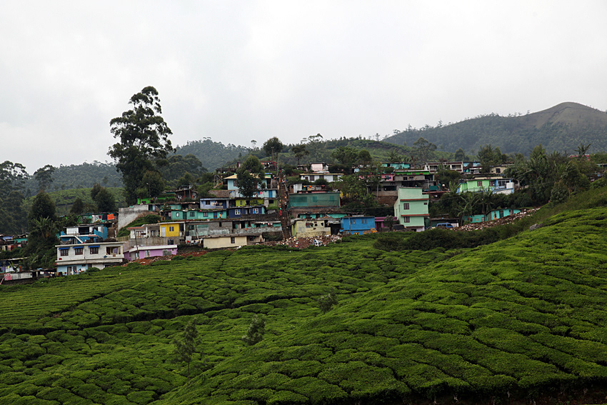 Munnar Hill Station