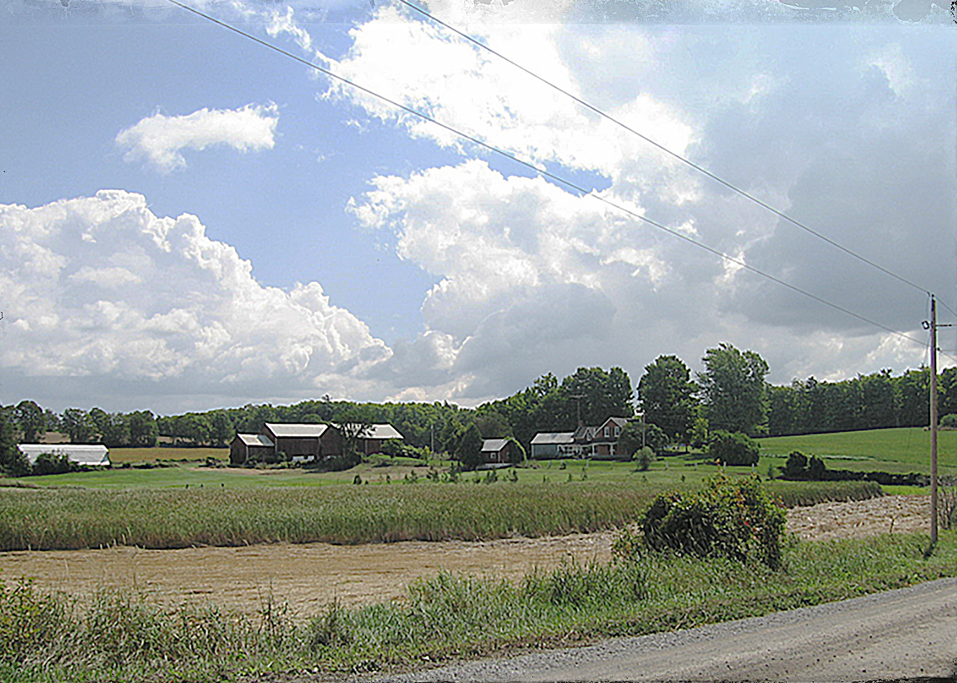 Bess Farm, Keene ON