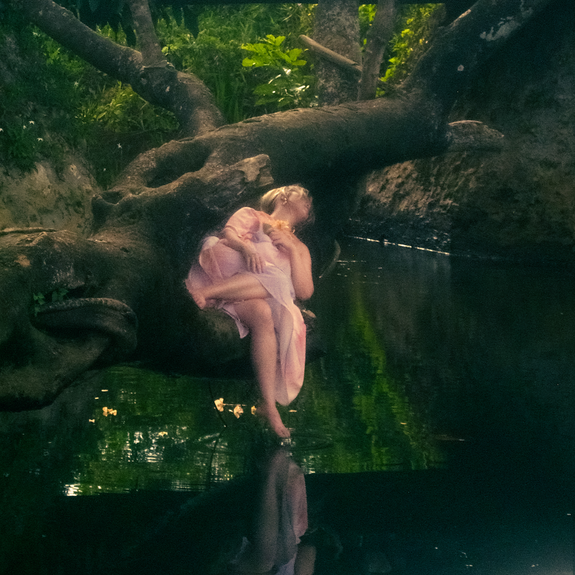 Linying - Swim, Swim Album Cover