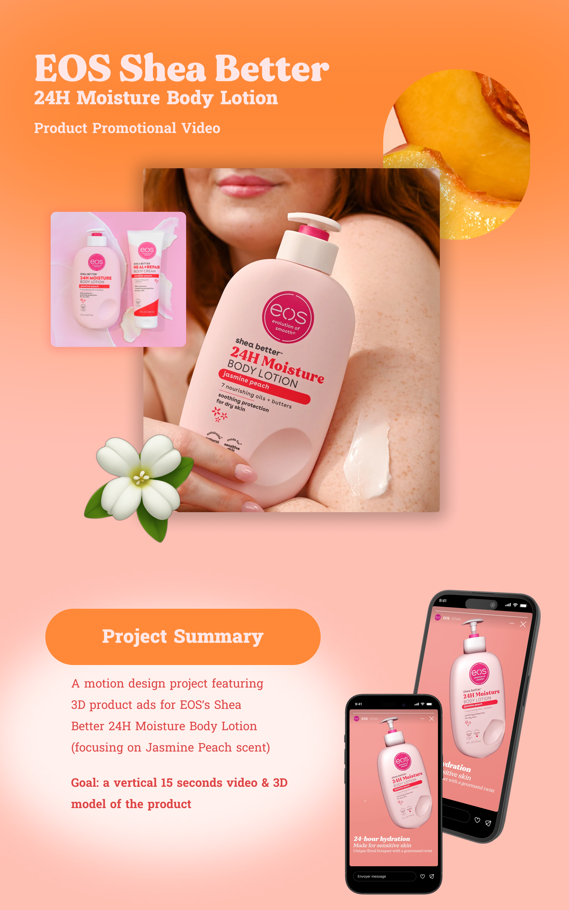 1st image of the project with description of project summary