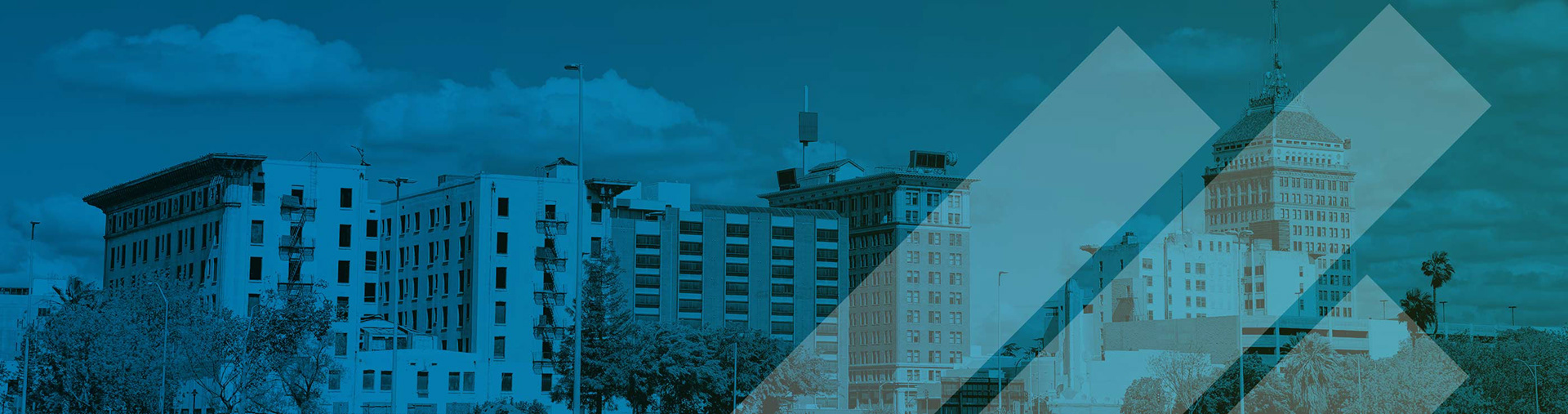 UC San Diego Alumni Local Chapter Webpage Header