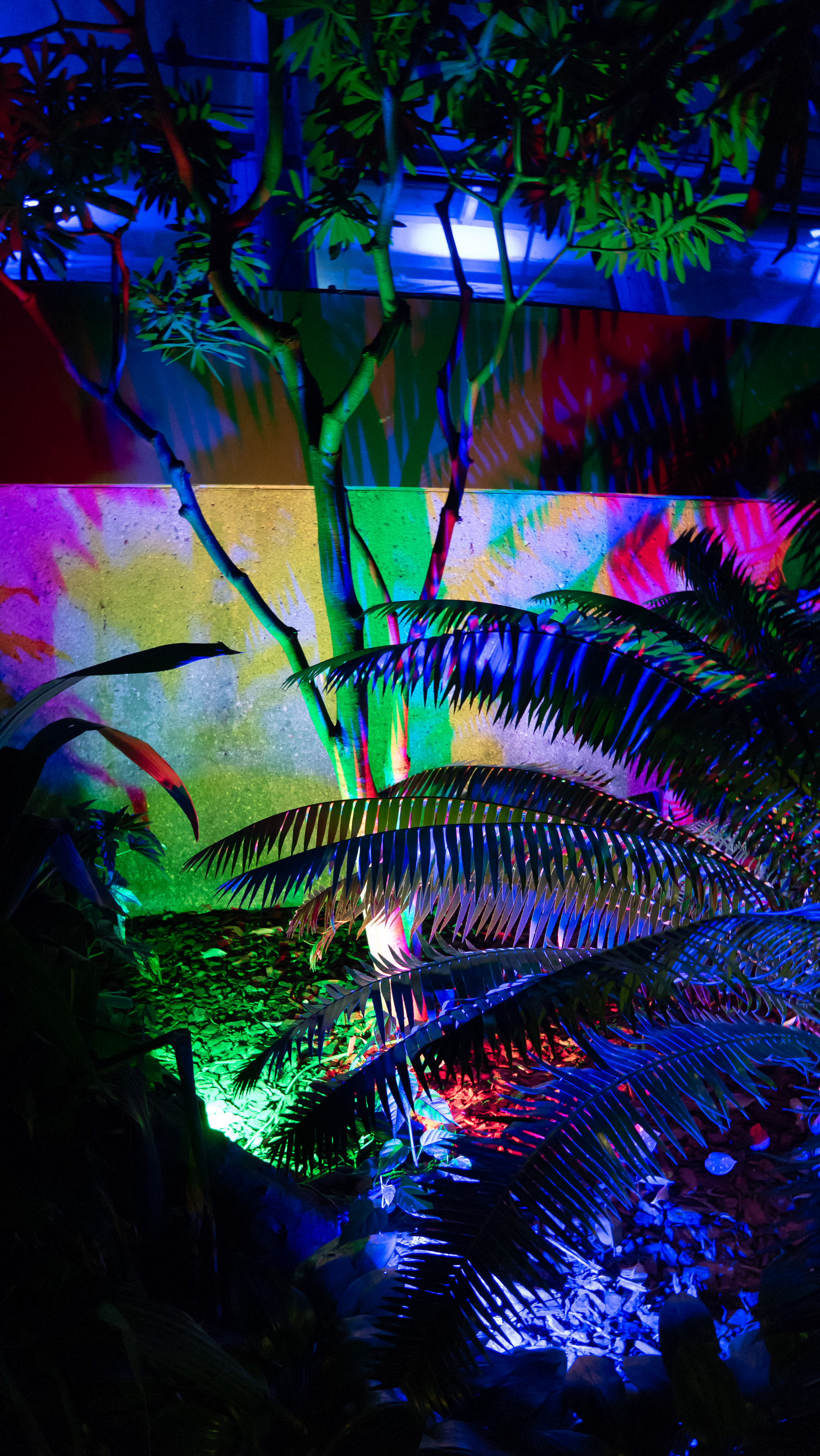 Gleam- 26'