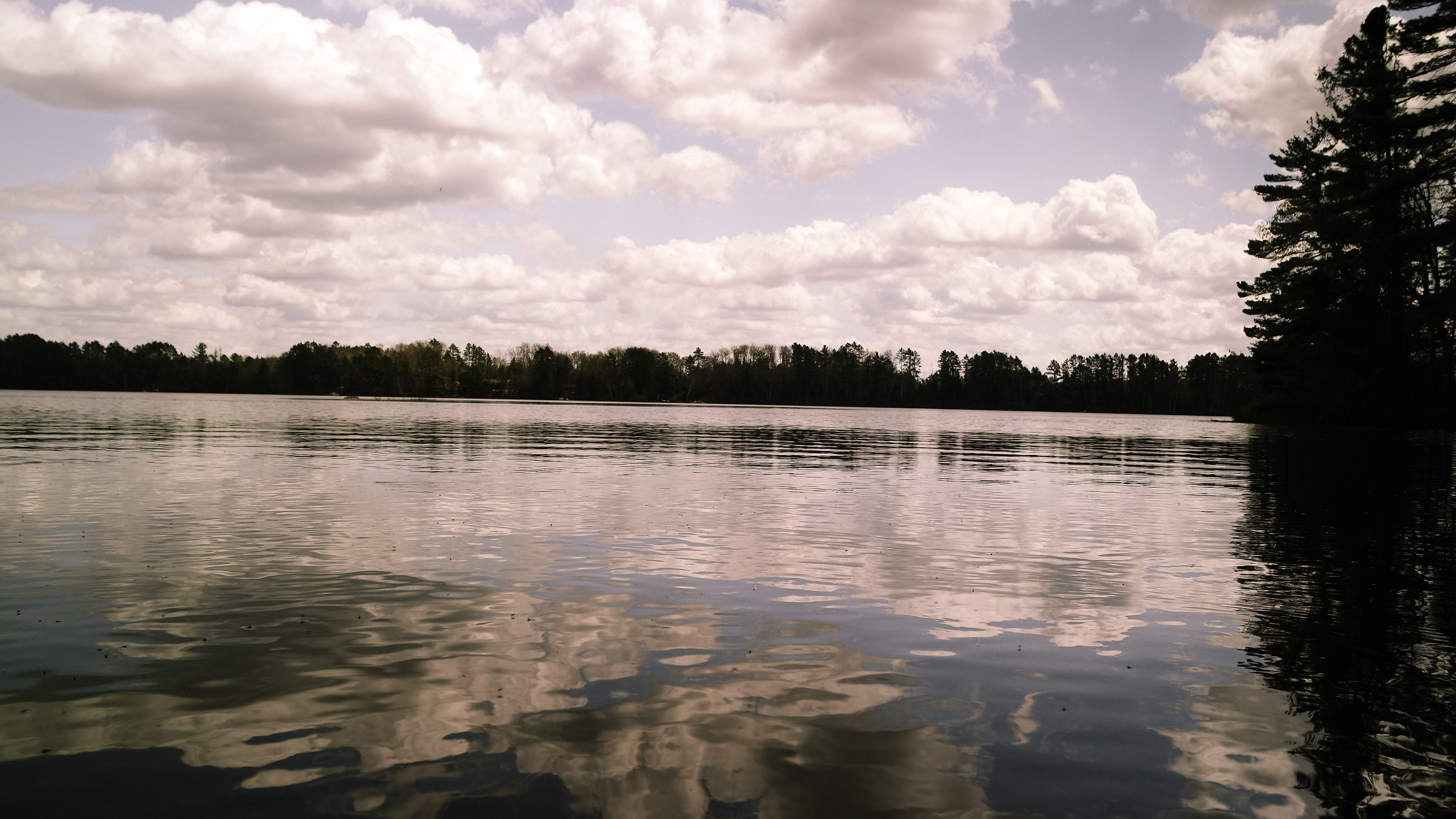 Cabin Trip- 2026