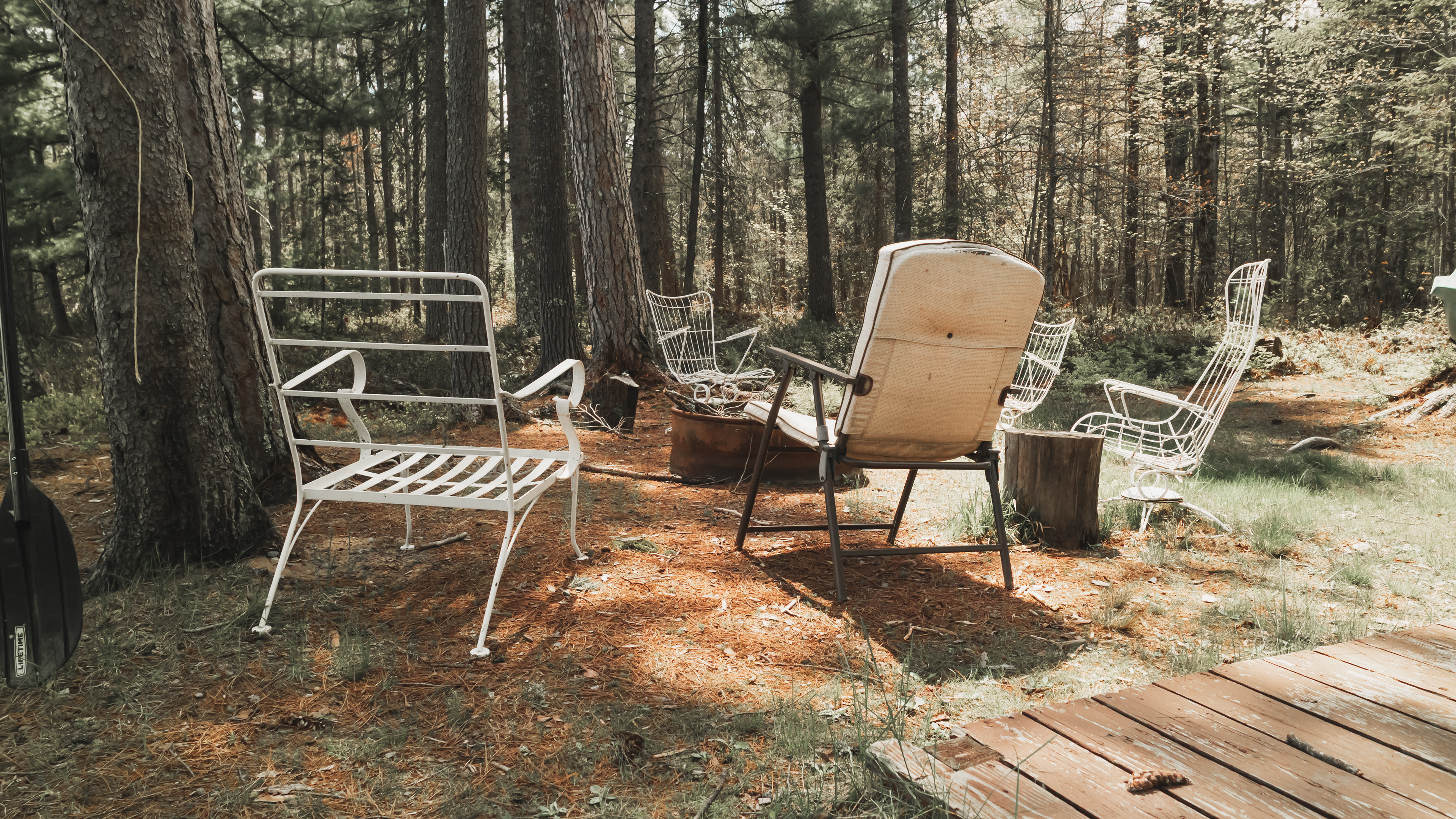 Cabin Trip- 2026