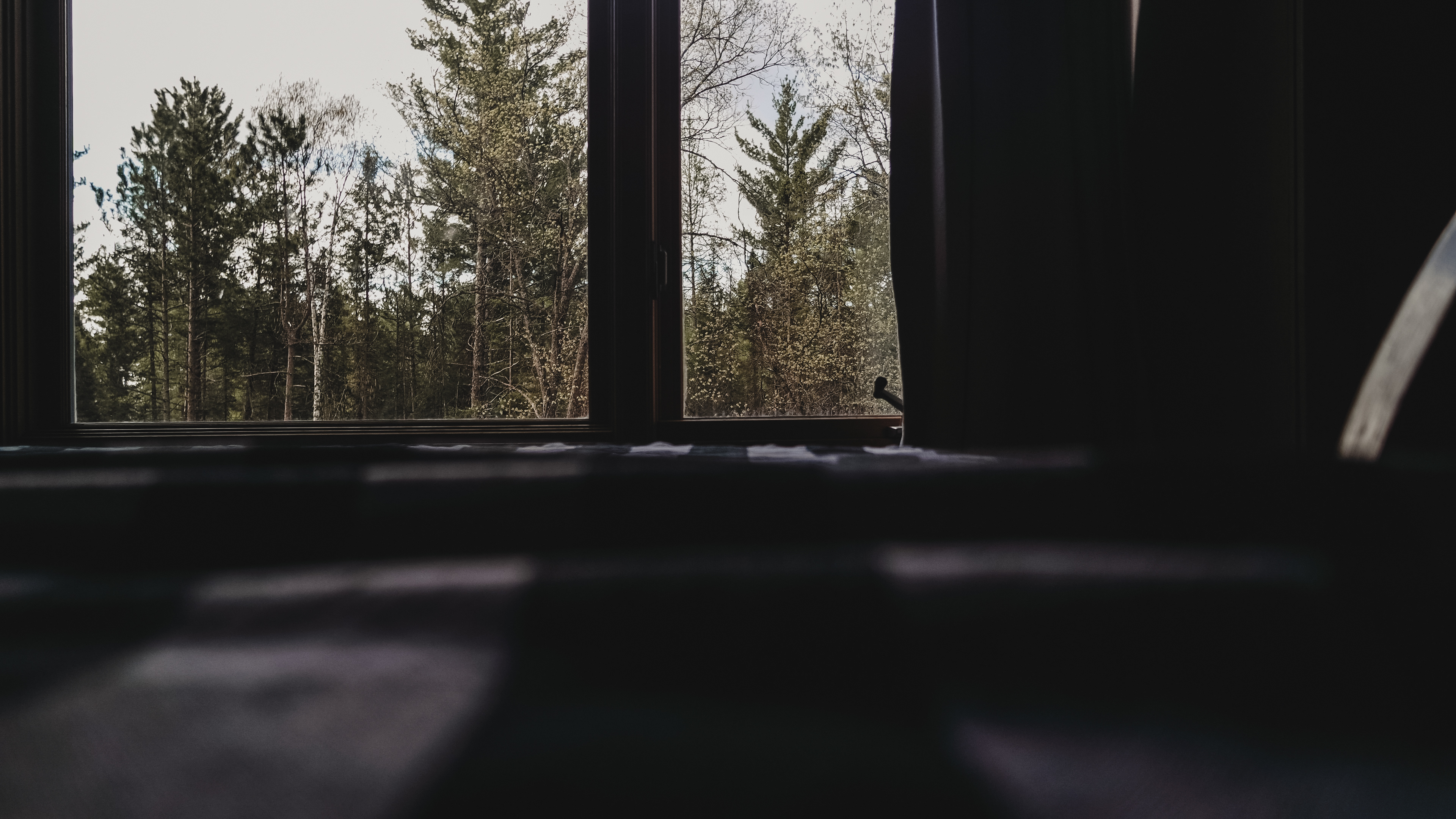 Cabin Trip- 2026