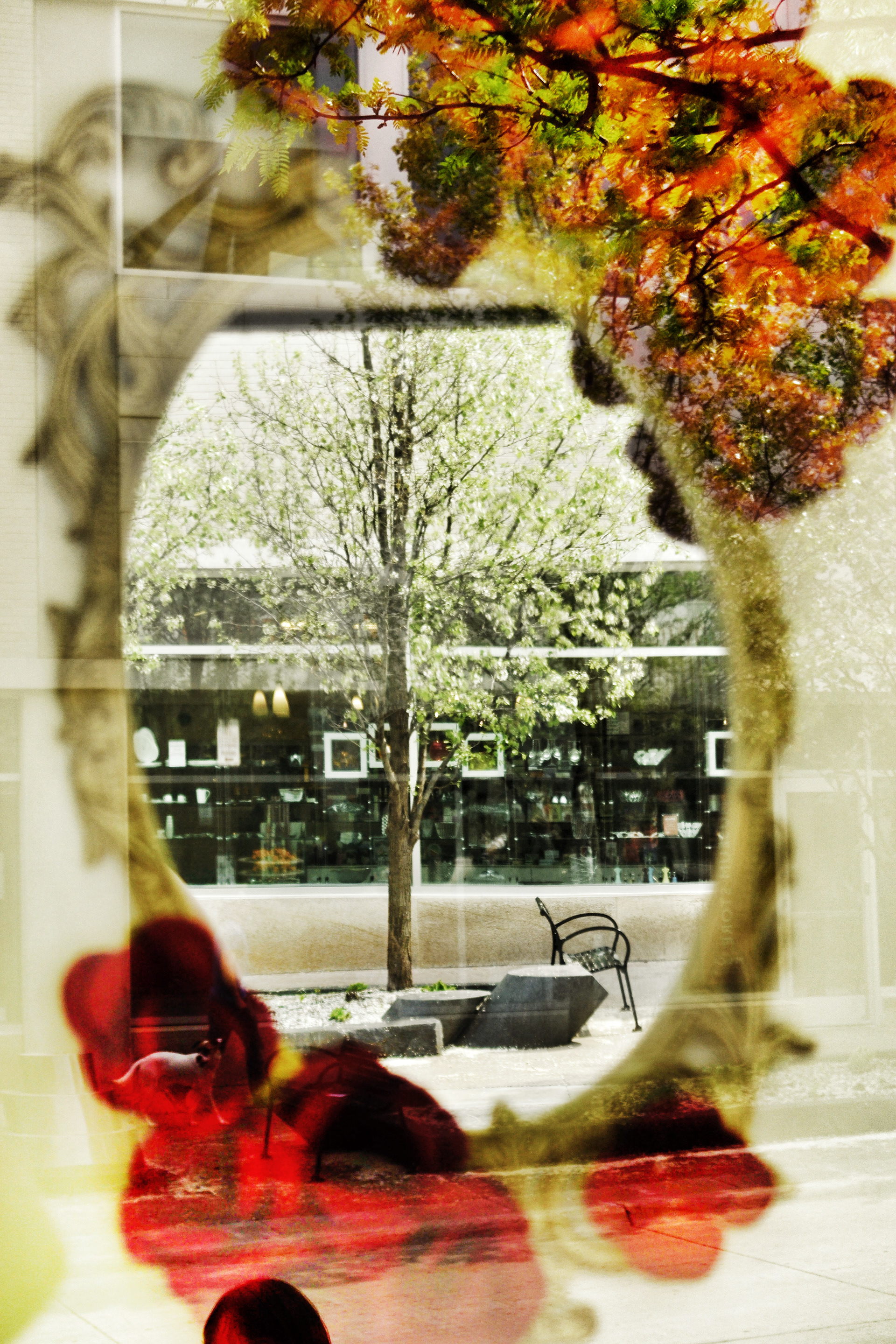 Reflections