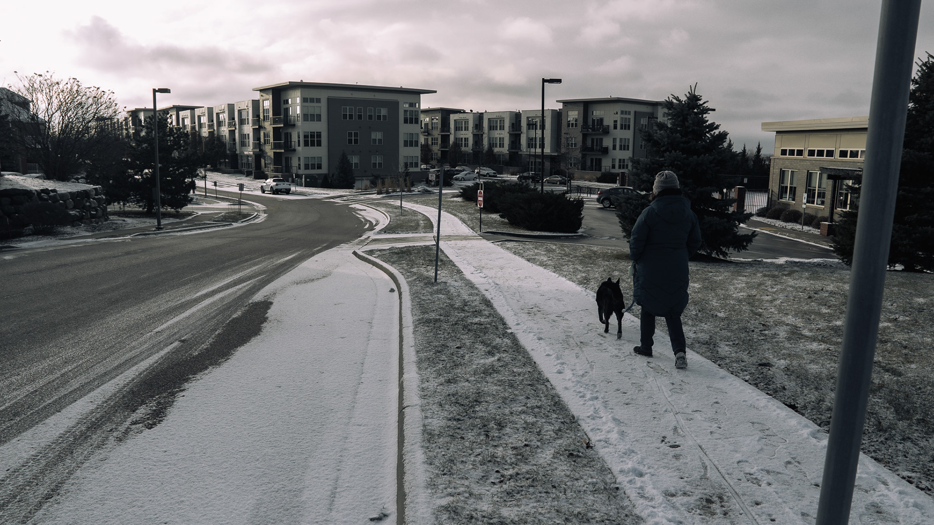Dog Walking
