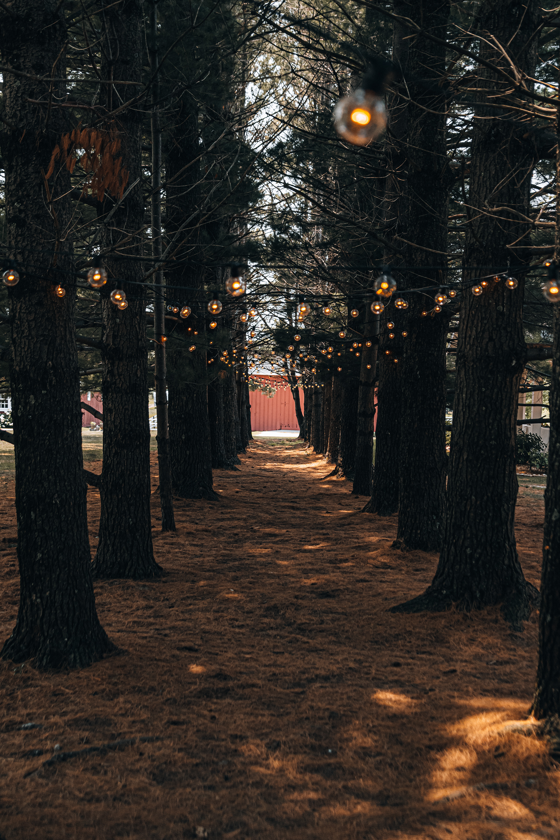 Wedding Venue
