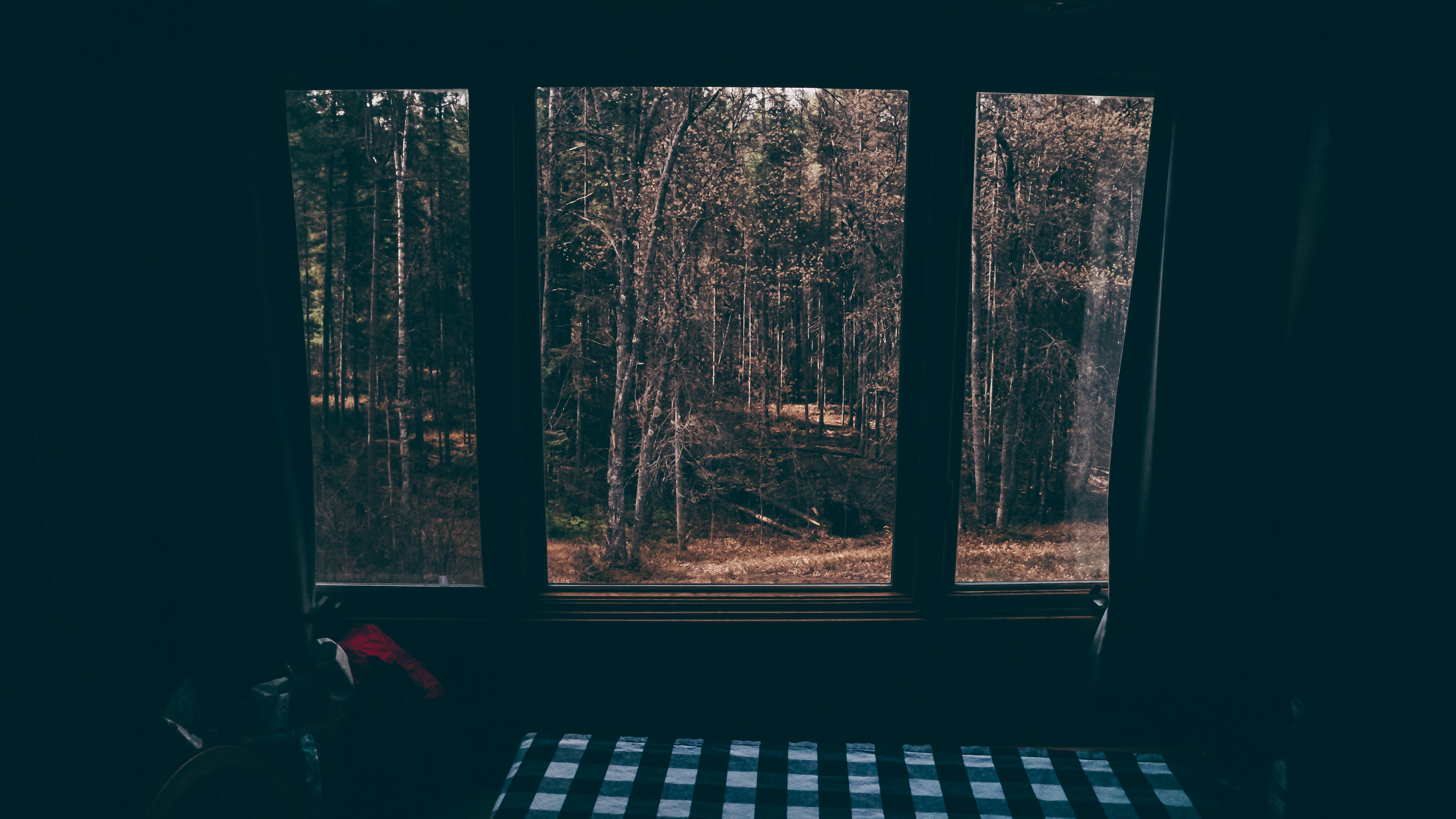 Cabin Trip- 2026