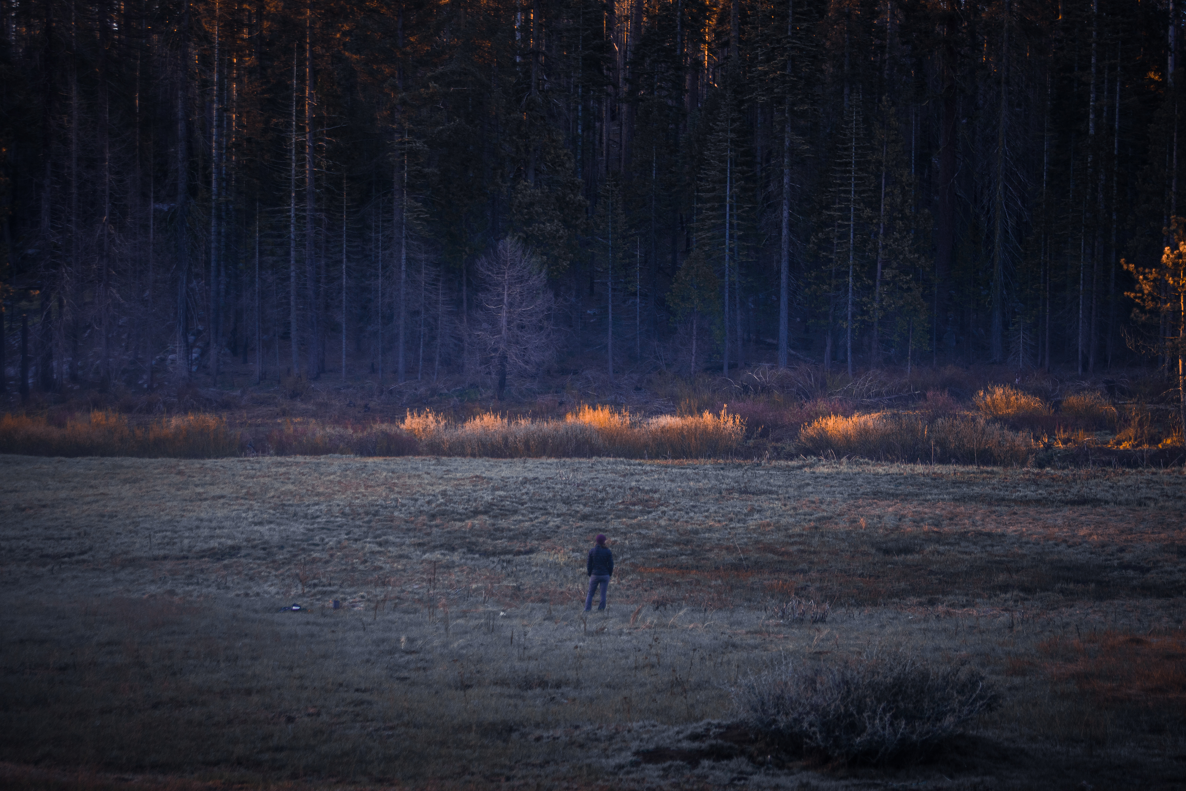 Yosemite