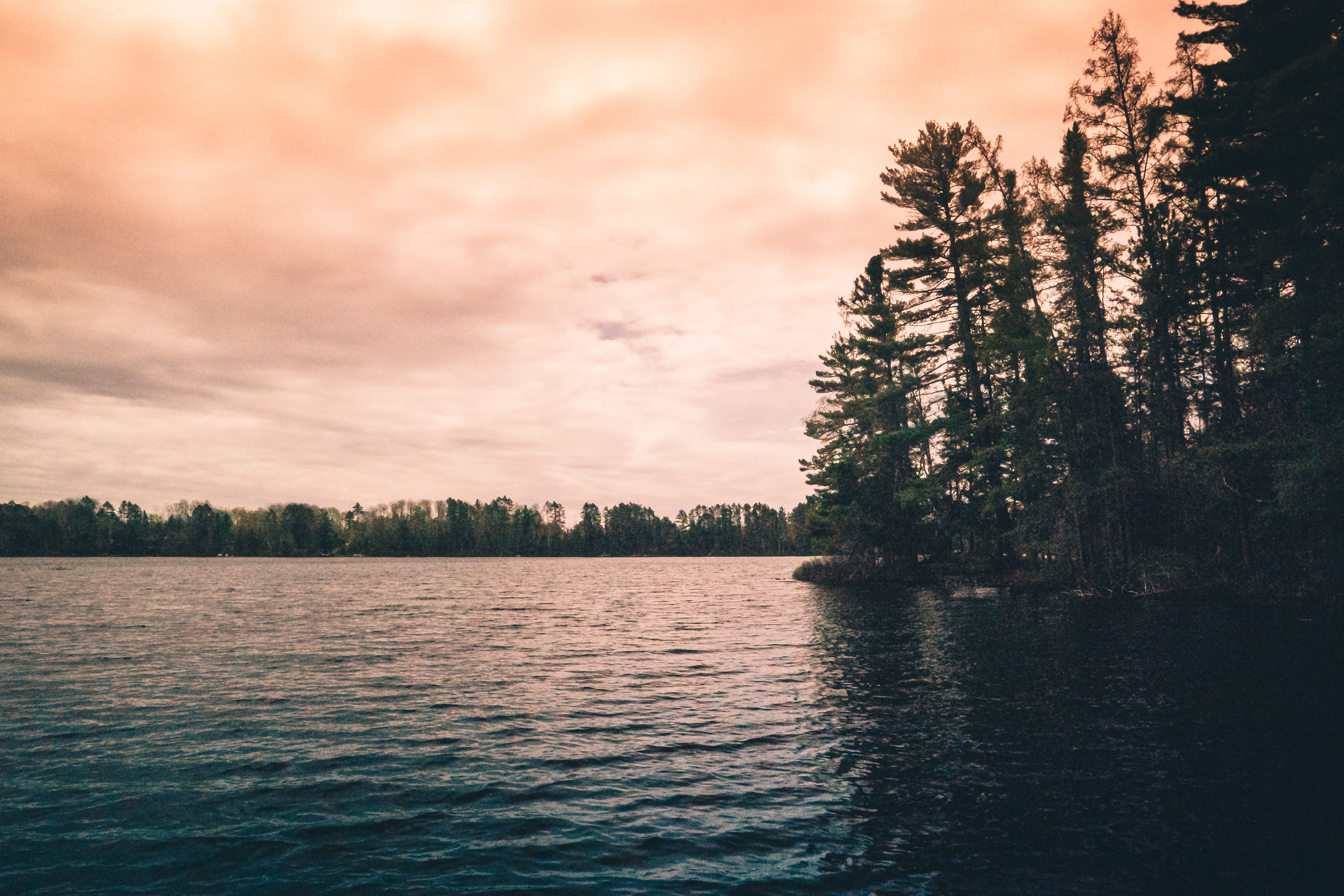 Cabin Trip- 2026