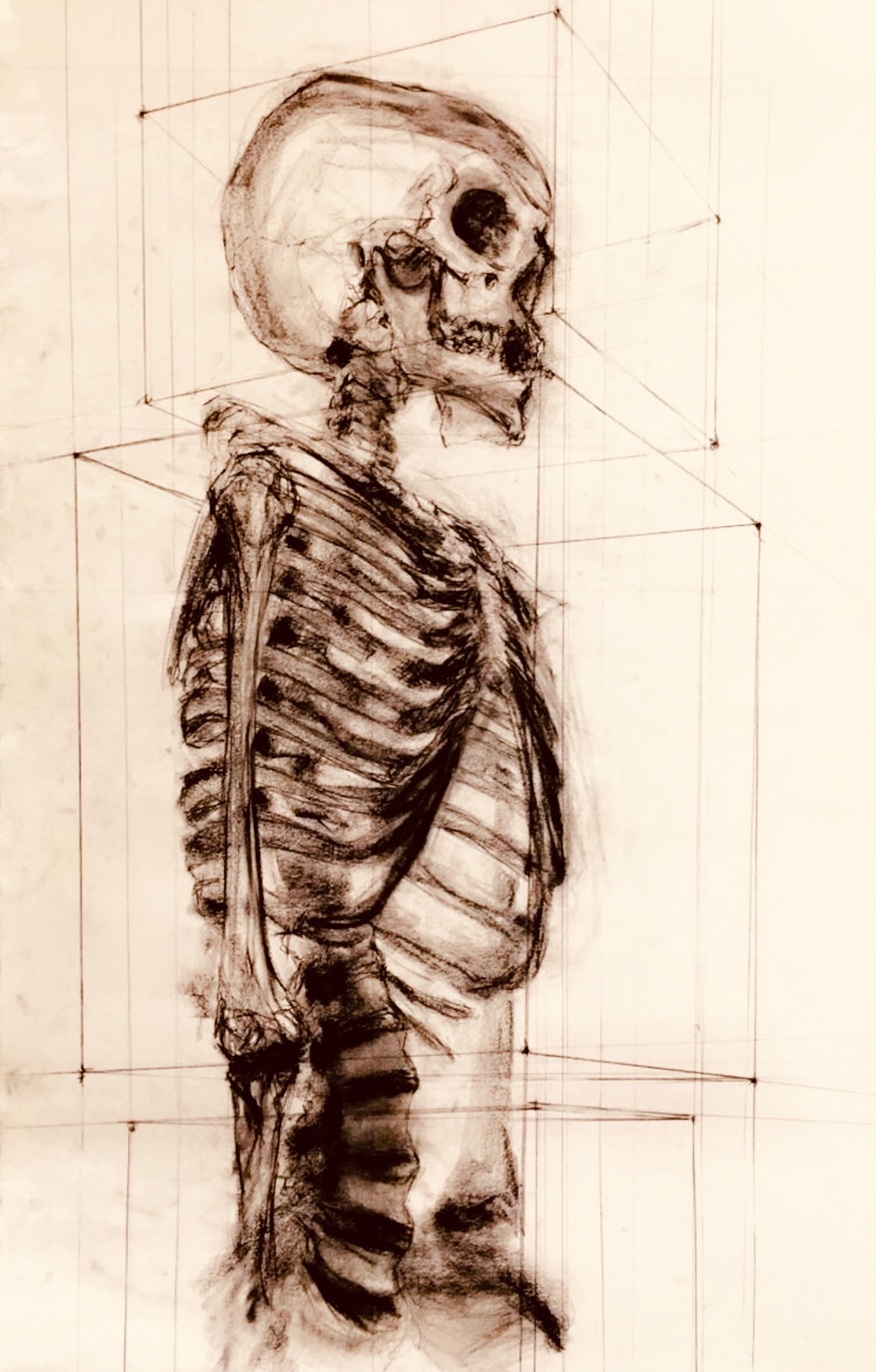 Bones...
