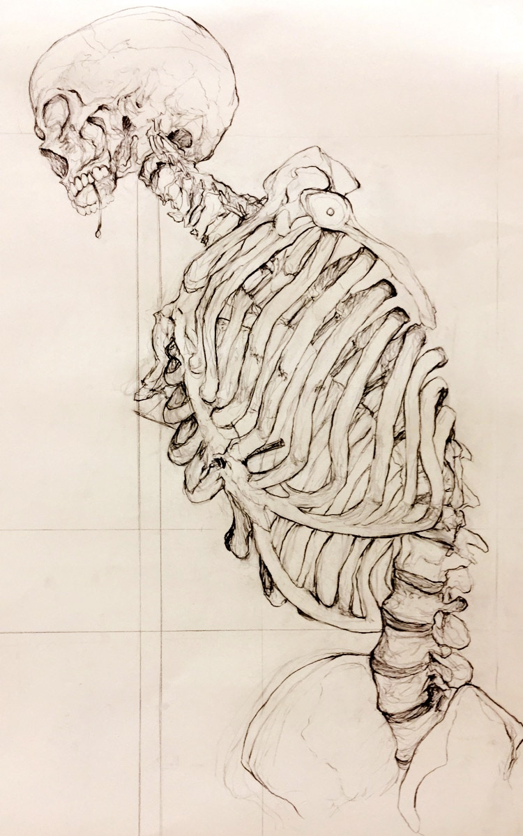 Skelly