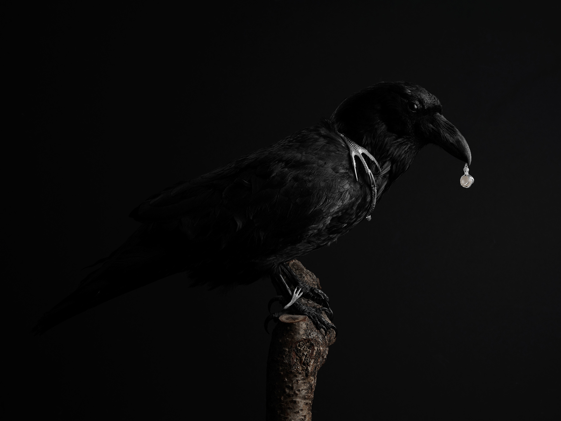 Produktbilder och reklambilder på Gry Forsells nya smycken She Stockholm