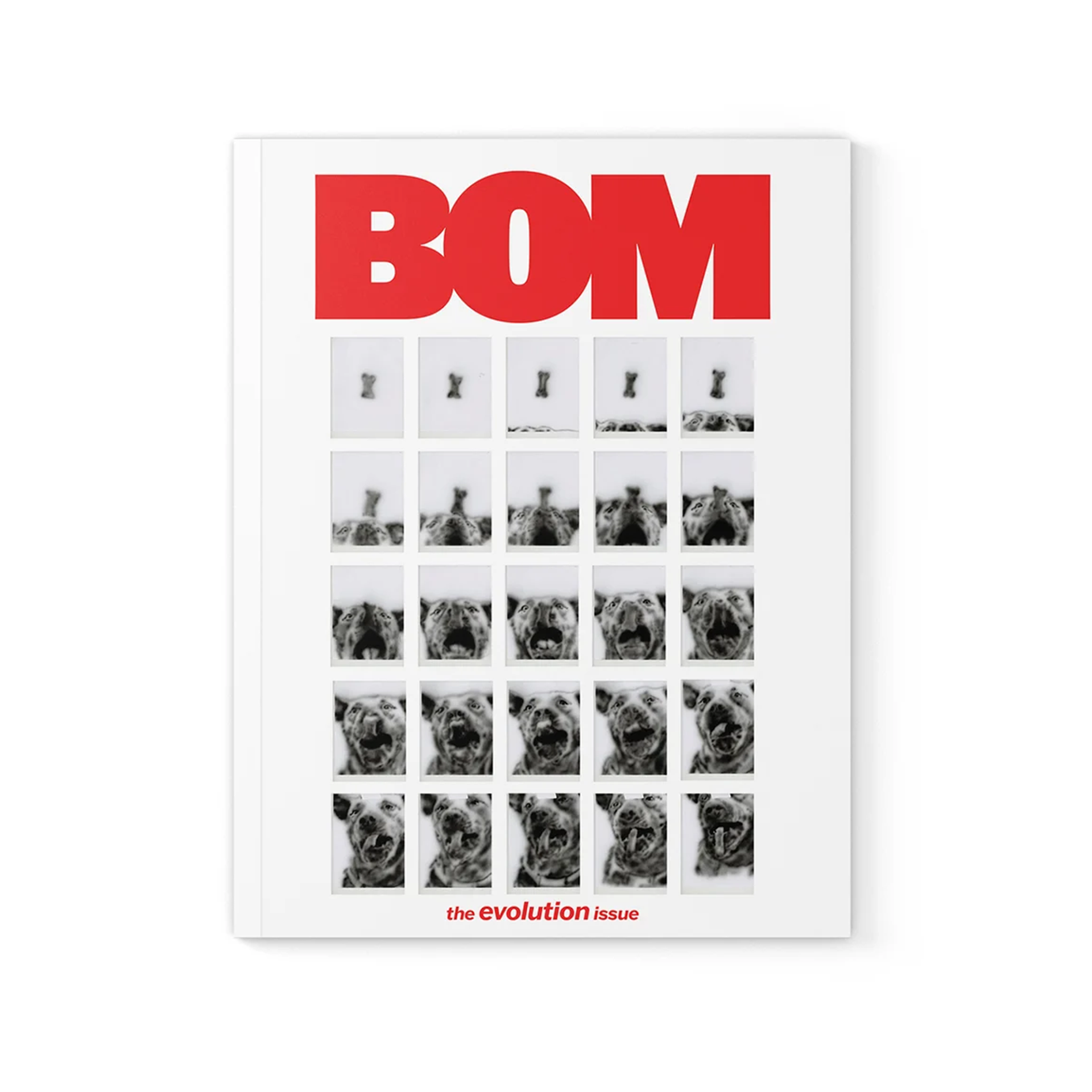 BOM ISSUE 4