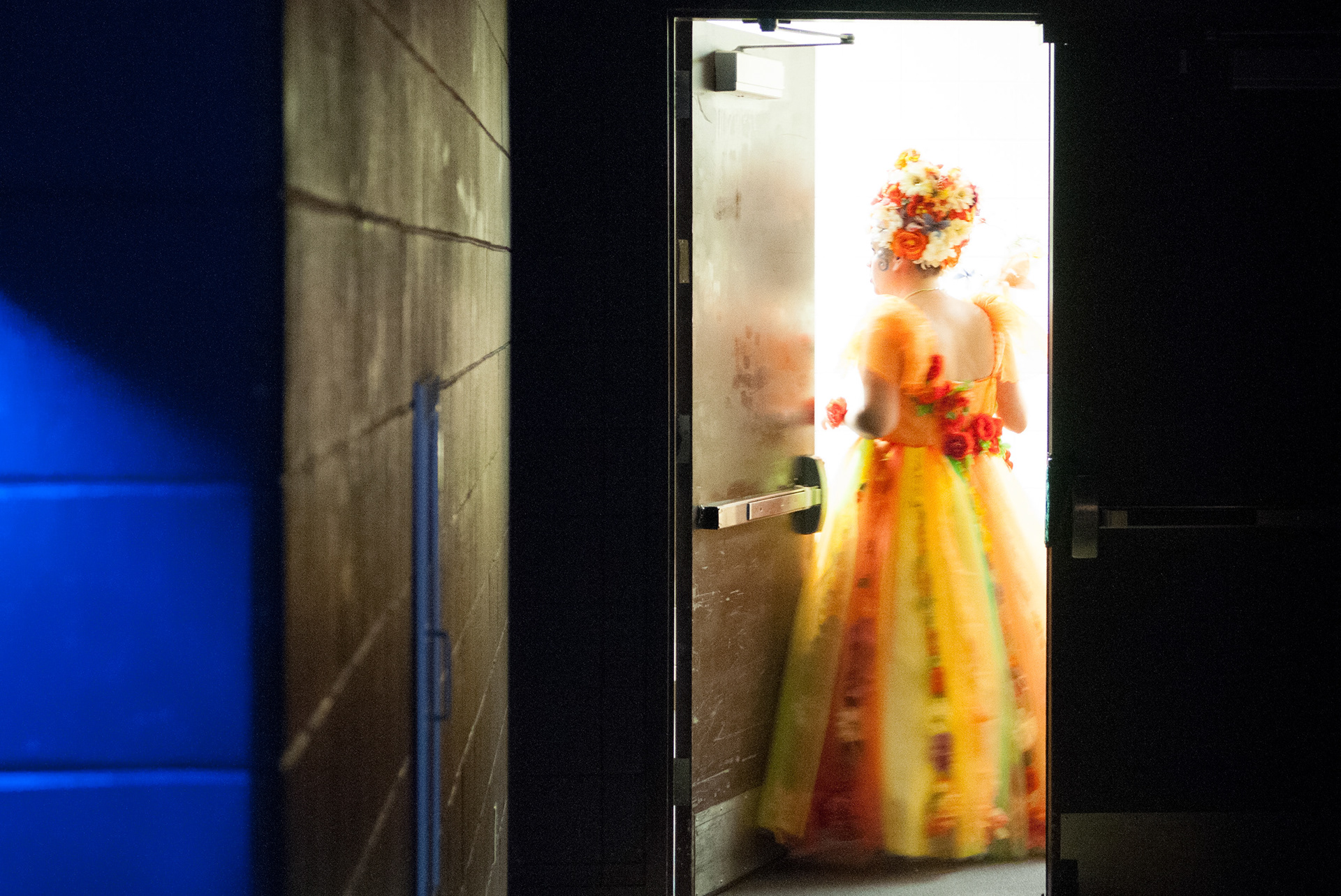 Wizard of Oz (Black Dirt Theater)