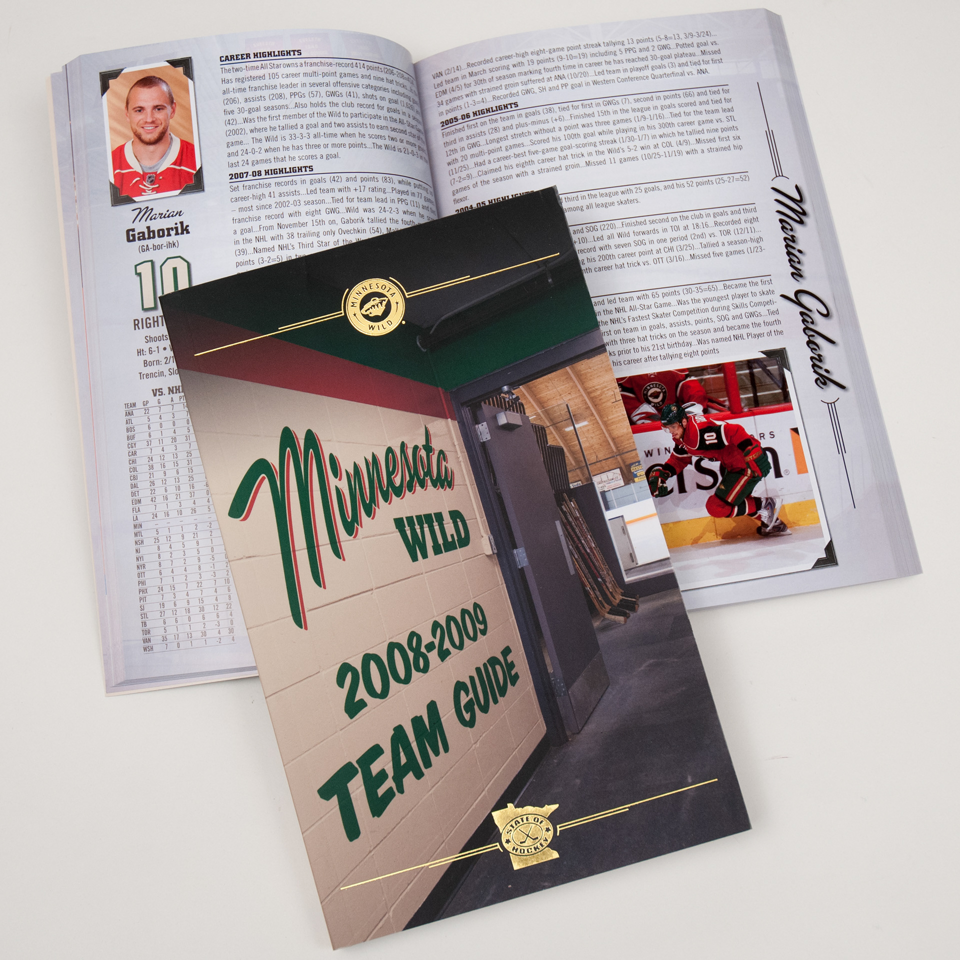 Team Guide Layout and Production