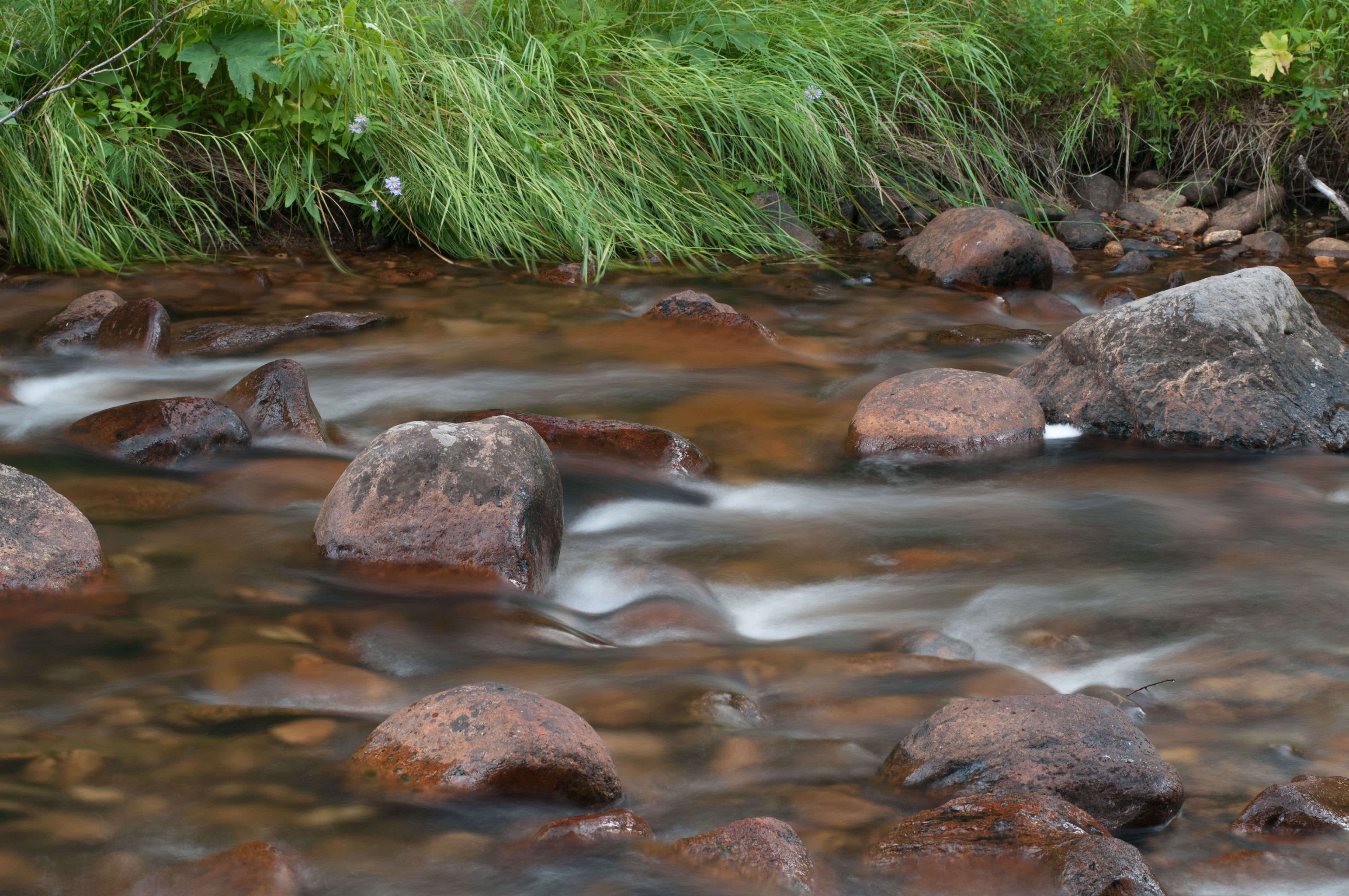 Glacier Creek, Rocky Mountain National Park, CO