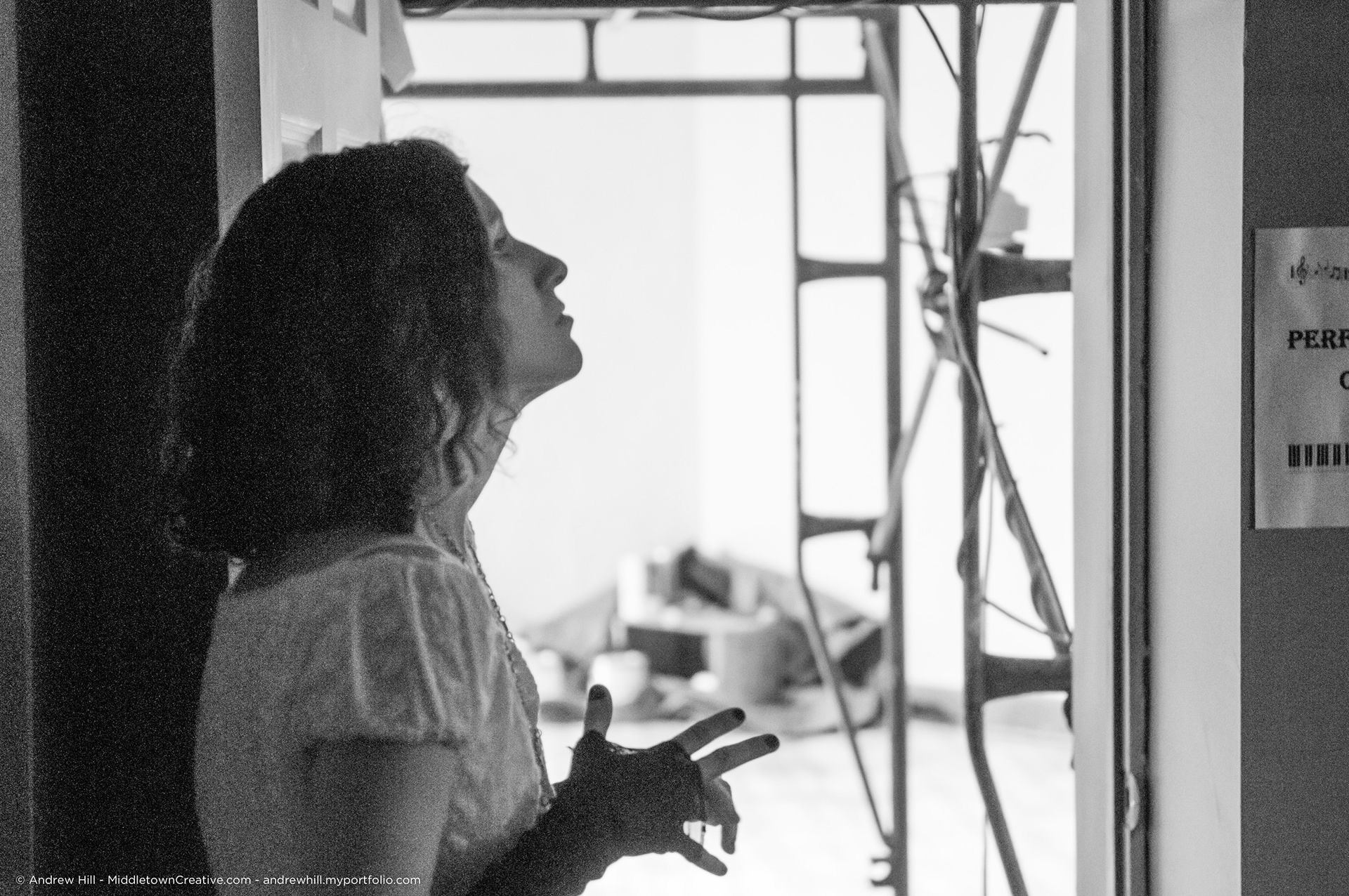 Hamlet (Black Dirt Theater)
