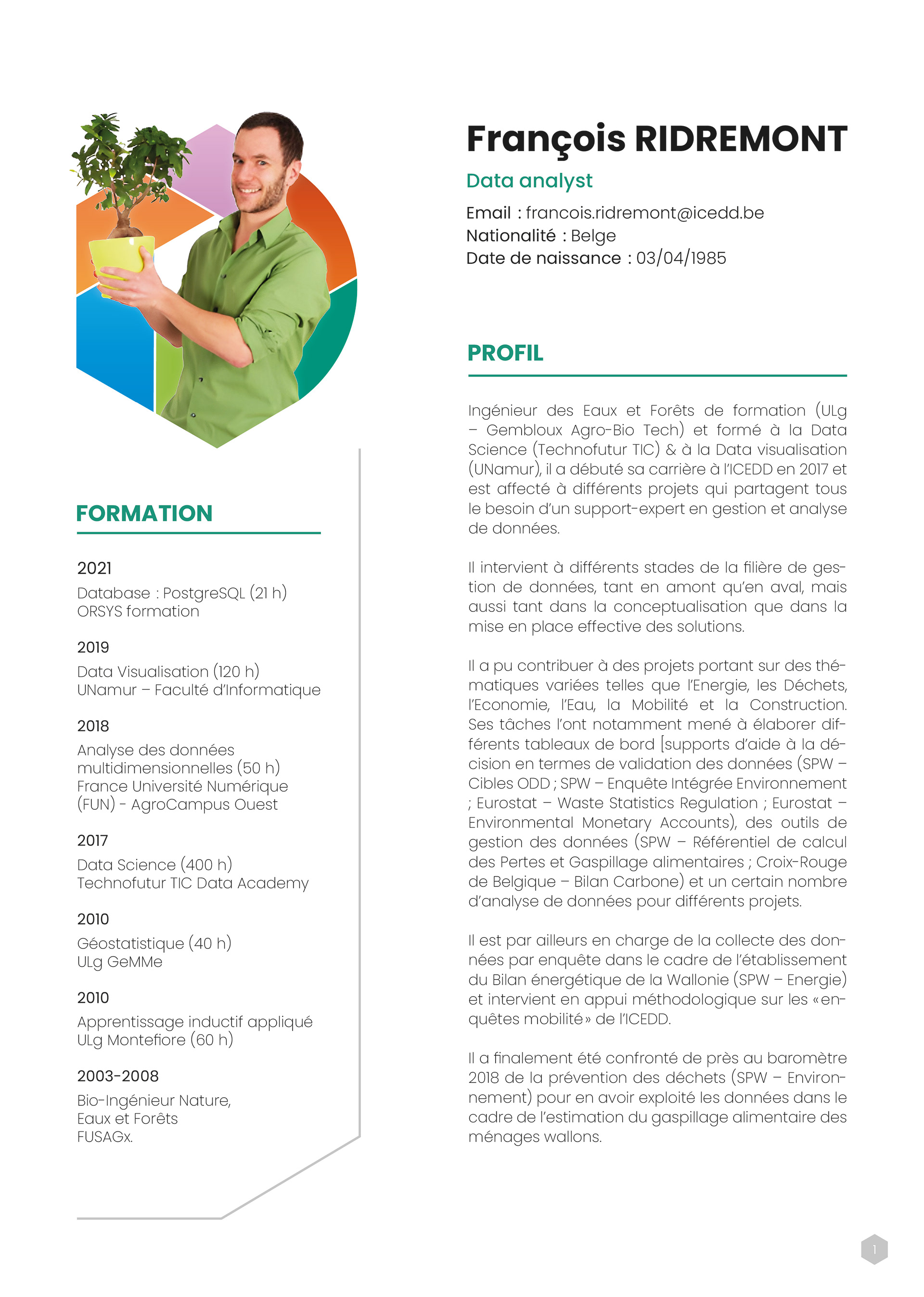 Concept de mise en page CV - ICEDD