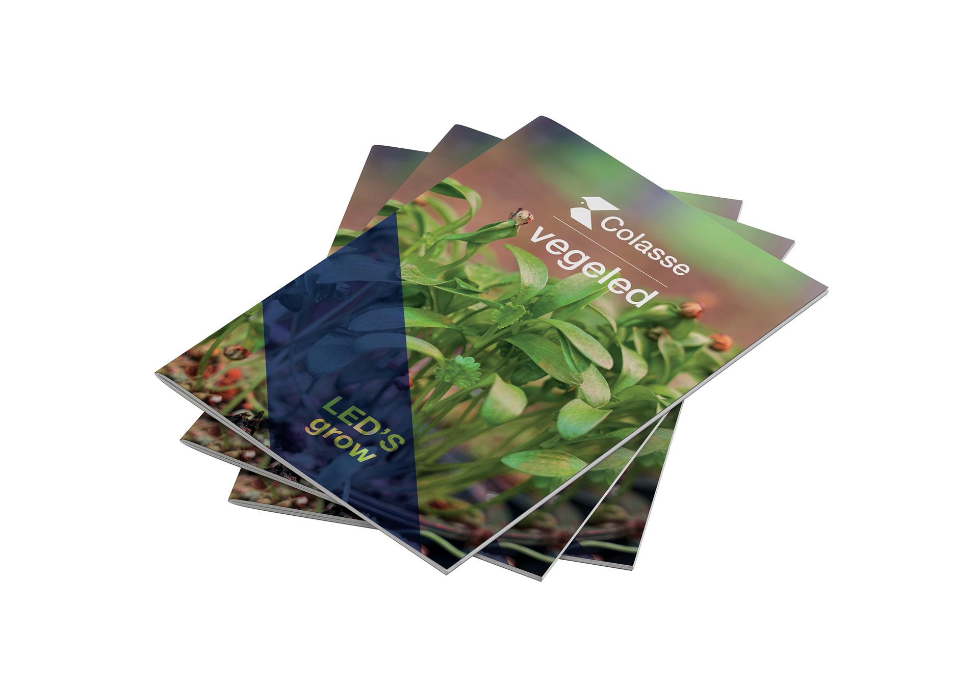 Mockups pour la brochure Colasse
