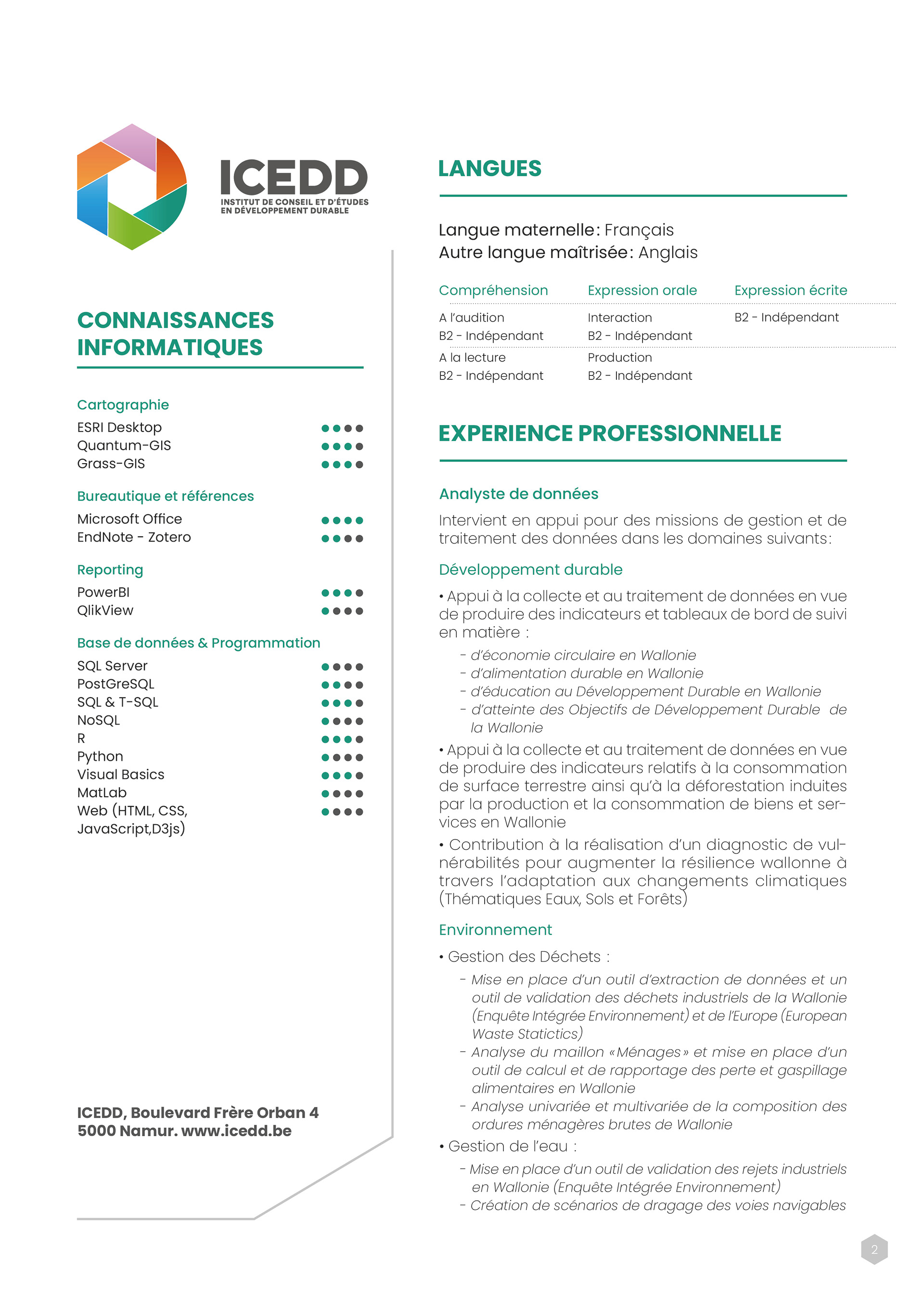 Concept de mise en page CV - ICEDD