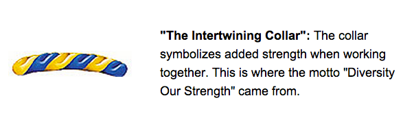 Border draws from the Intertwining Collar to symbolize unity, with a pop of color for energy.