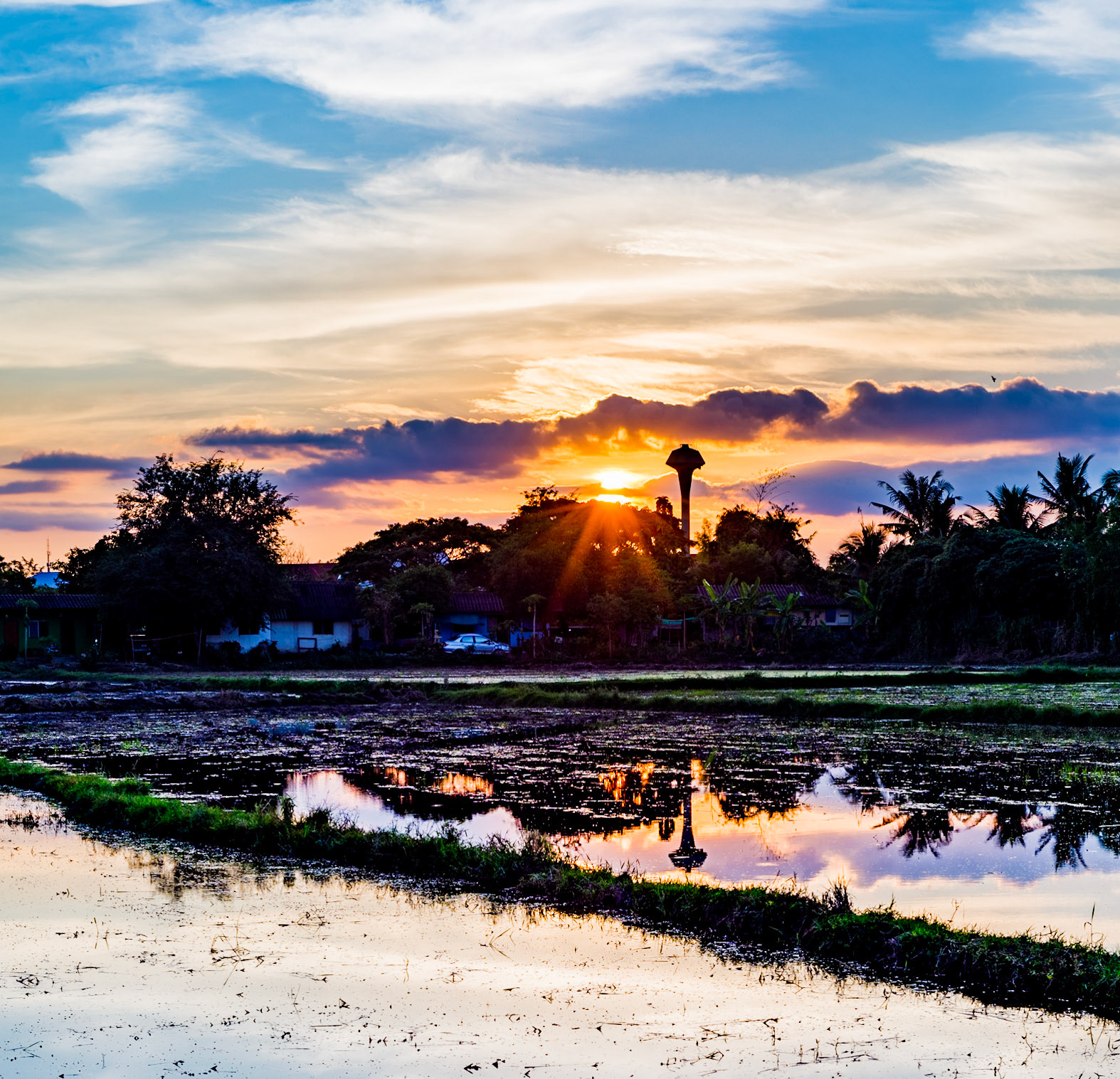 The setting sun reflected off a rice paddy.
