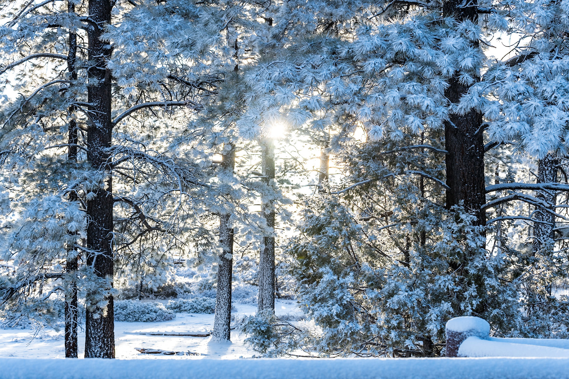 A fresh now, on a spring morning, with a fresh sunrise... not much more can make this a more perfect morning. #Nikon #D850 f/7.1 ISO 64 24mm, HDR of 3 shots.