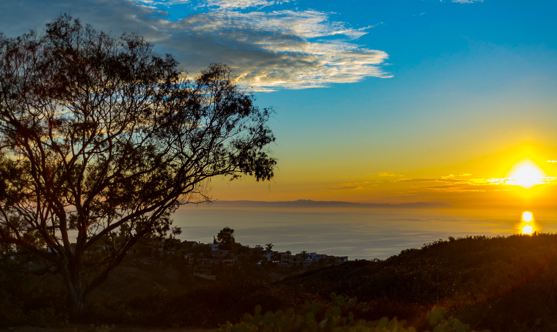 I wish I had put a bit more effort into composing this picture between the sun and tree.  Unfortunately I also wasn't careful about keeping the horizon flat so I lost a bit of the sides of the image fixing the horizon.