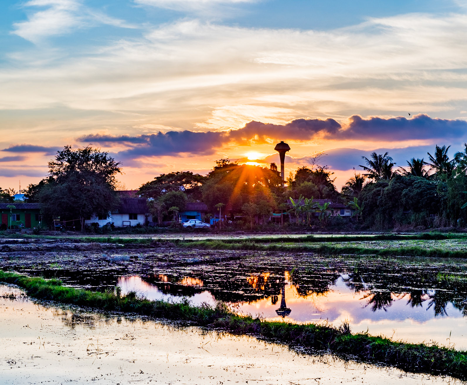 The setting sun reflected off a rice paddy.