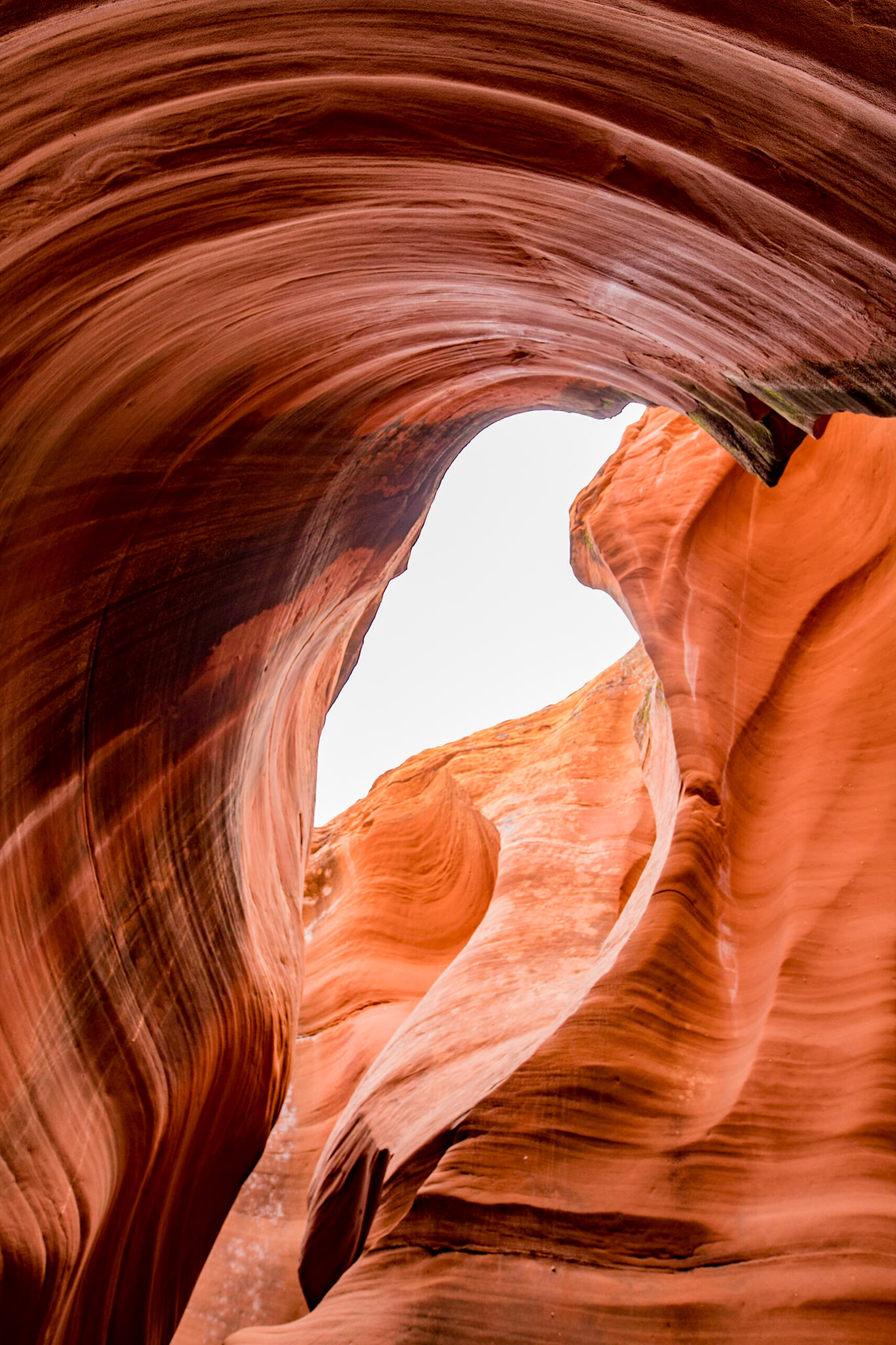 In #rattlesnakecanyon near #antelopecanyon you'll find this beautiful formation.   #Nikon #D850 1/13s f/10 ISO 125 24mm #Sigma