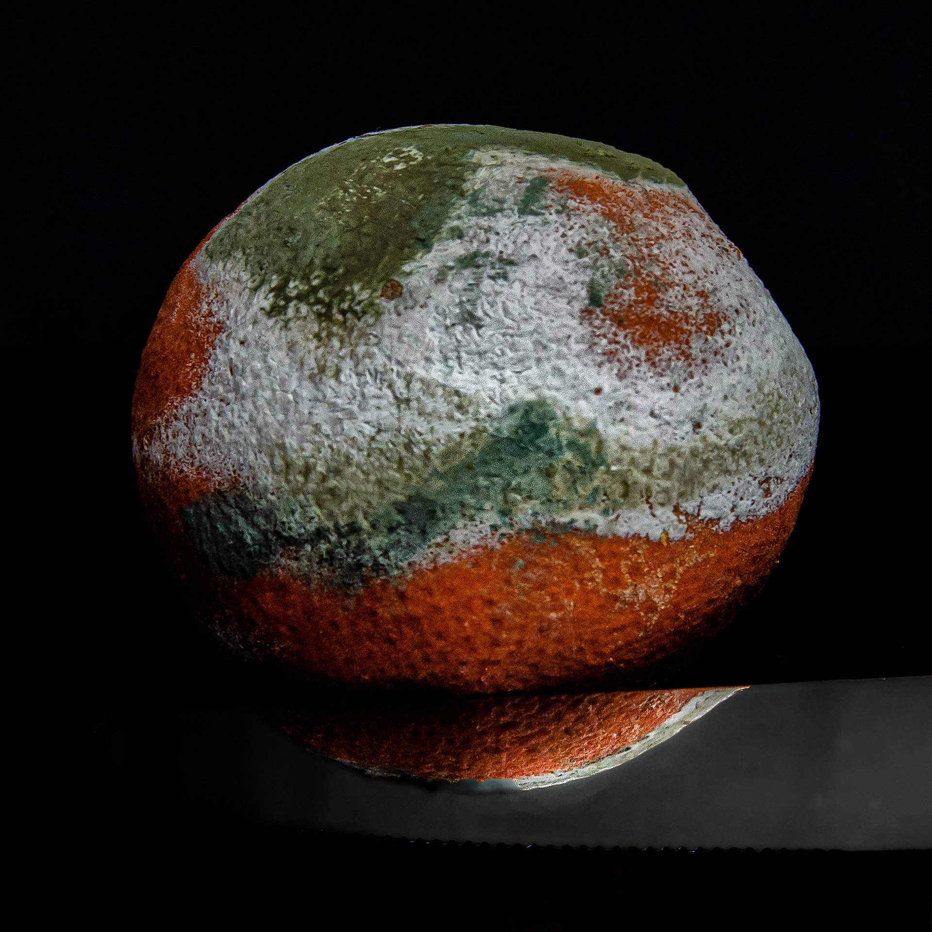 mouldy citrus fruit reflected on dark surface