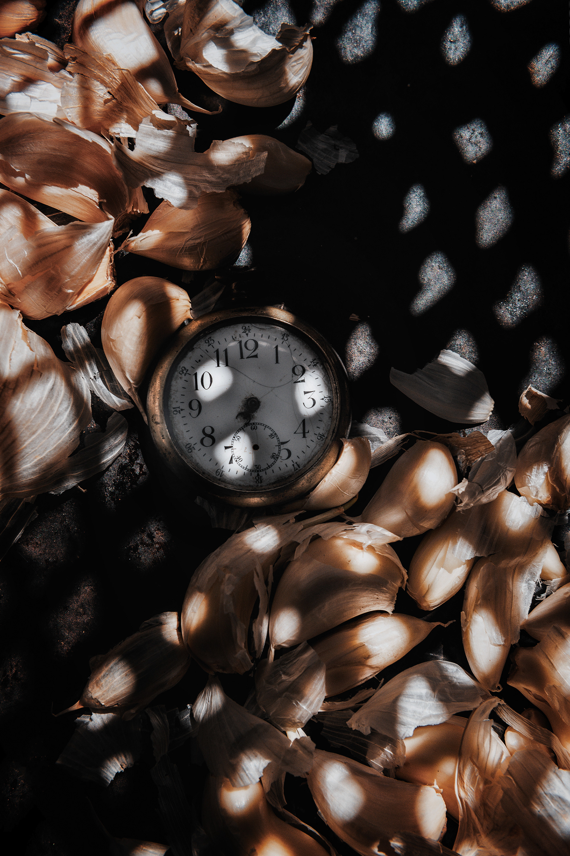 conceptual still life with garlic and clock referencing time and anatomy