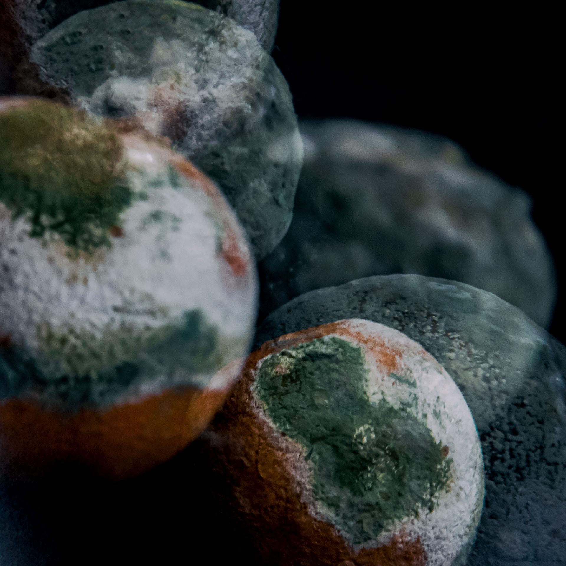 overlapping double exposure mouldy citrus fruits still life composition