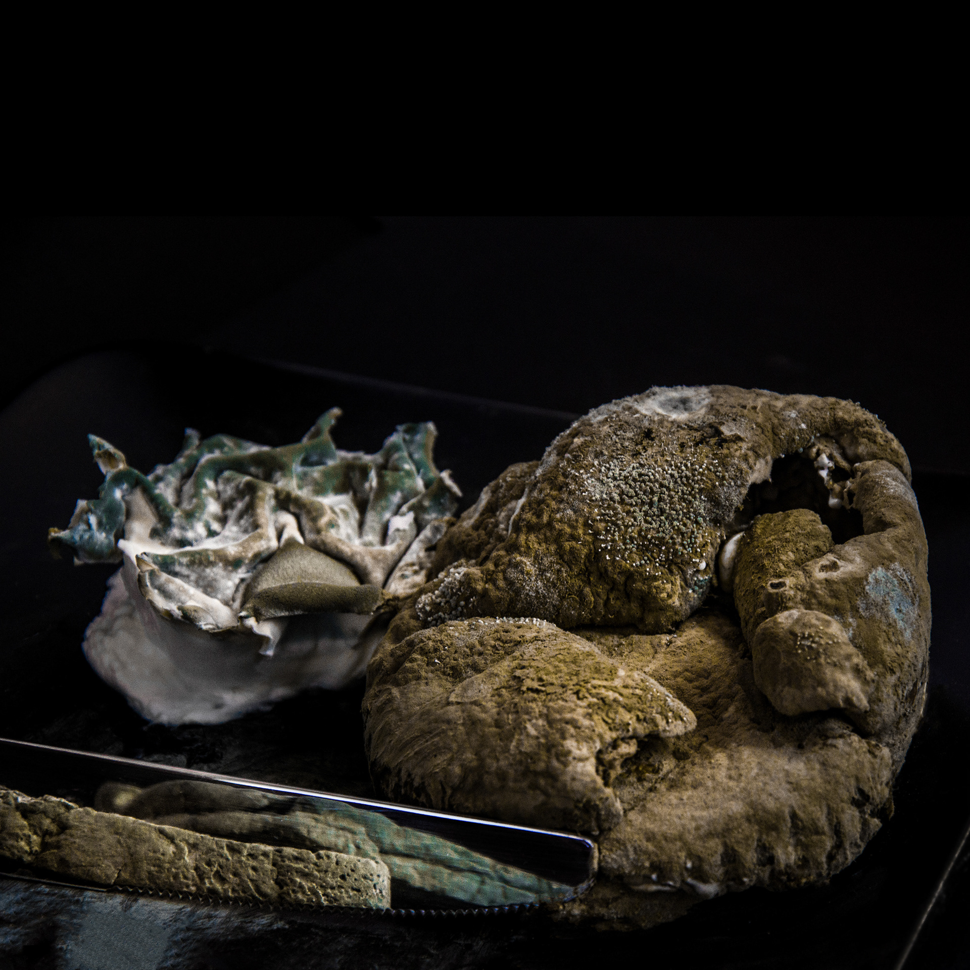 stacked mouldy bread fragments still life composition