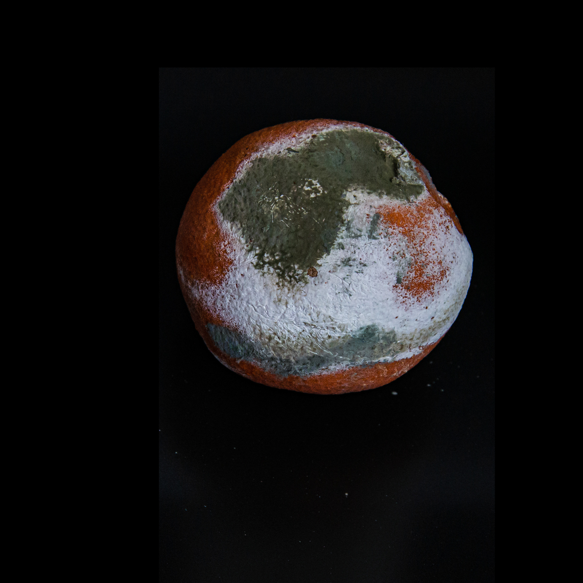 isolated mouldy citrus fruit on dark background