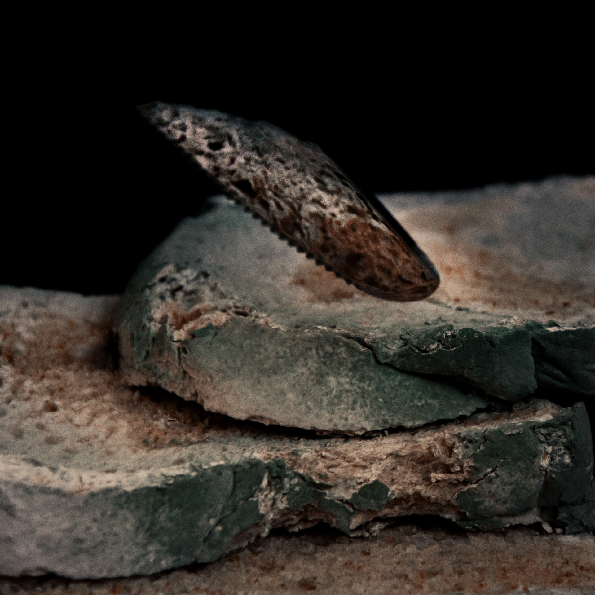 close study of mouldy bread fragment on dark surface